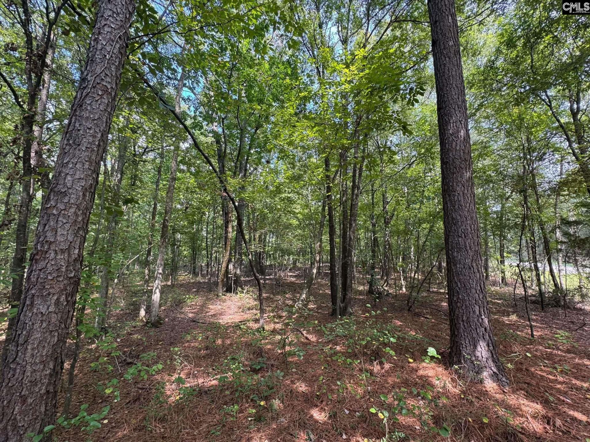Pencreek Road  Photo 11