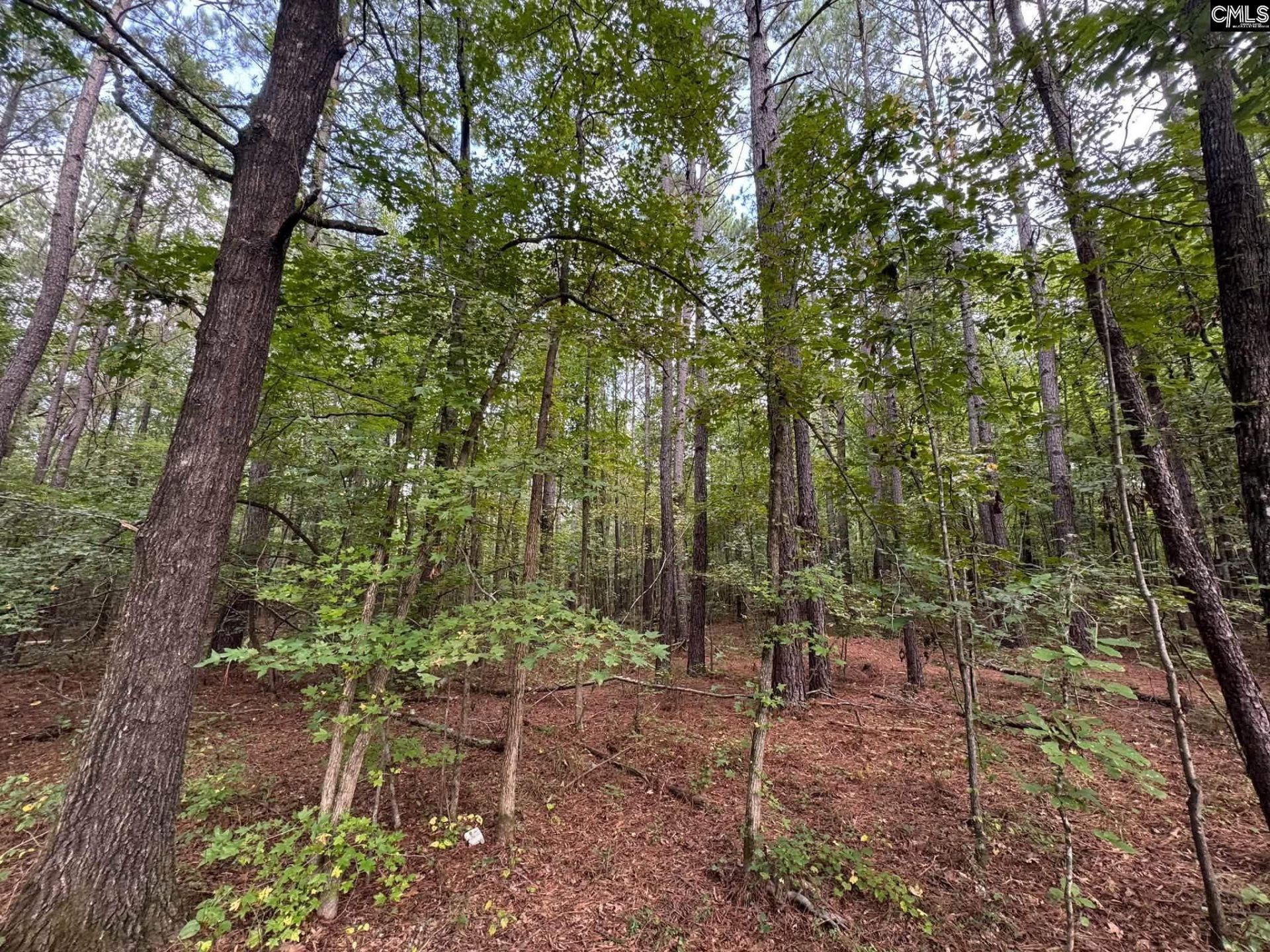 Pencreek Road  Photo 12