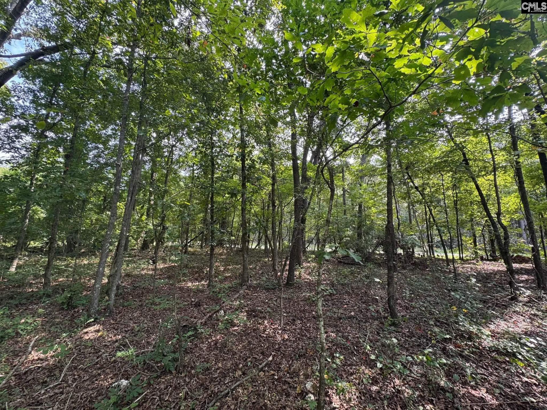 Pencreek Road  Photo 13