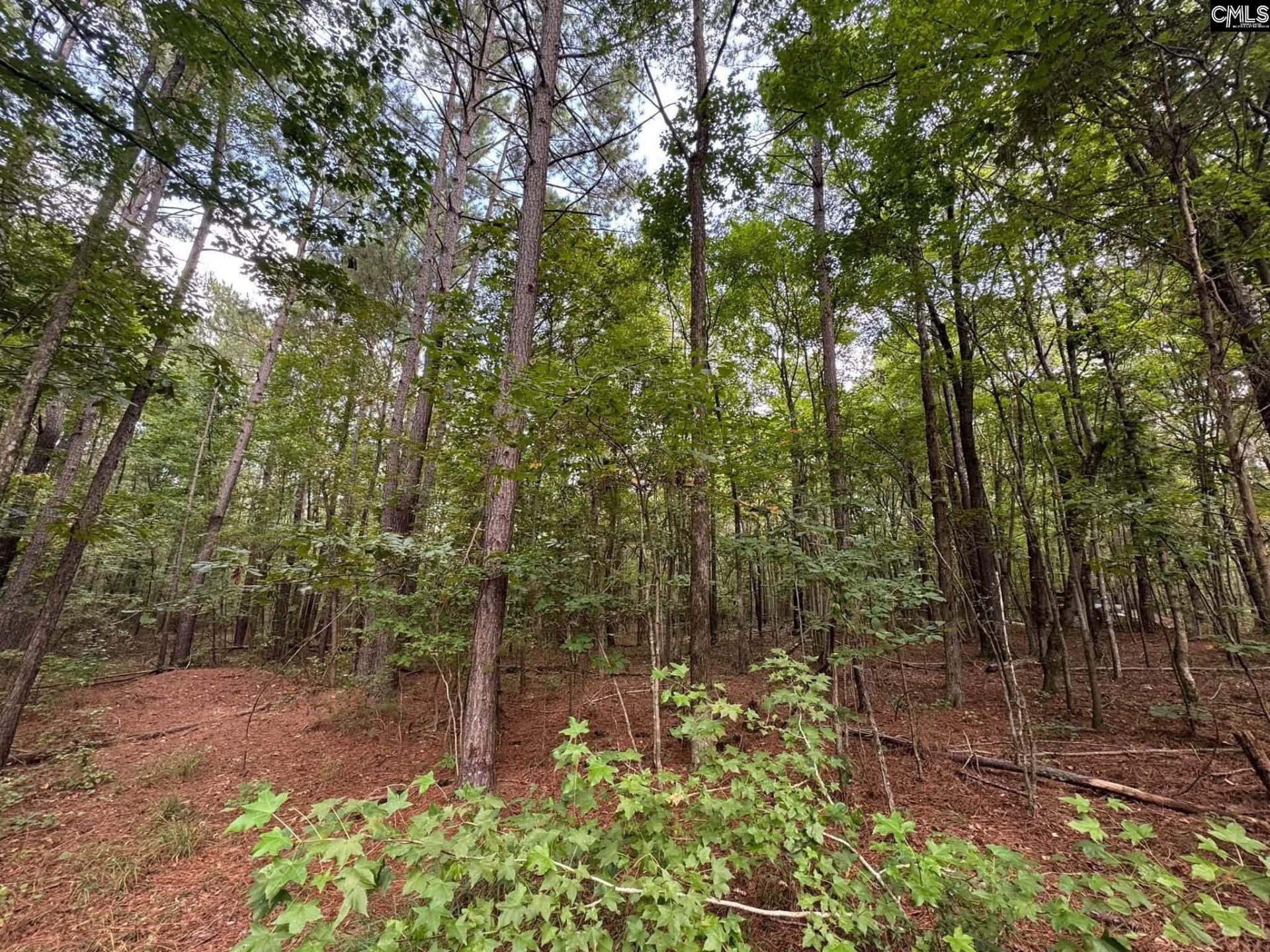 Pencreek Road  Photo 14