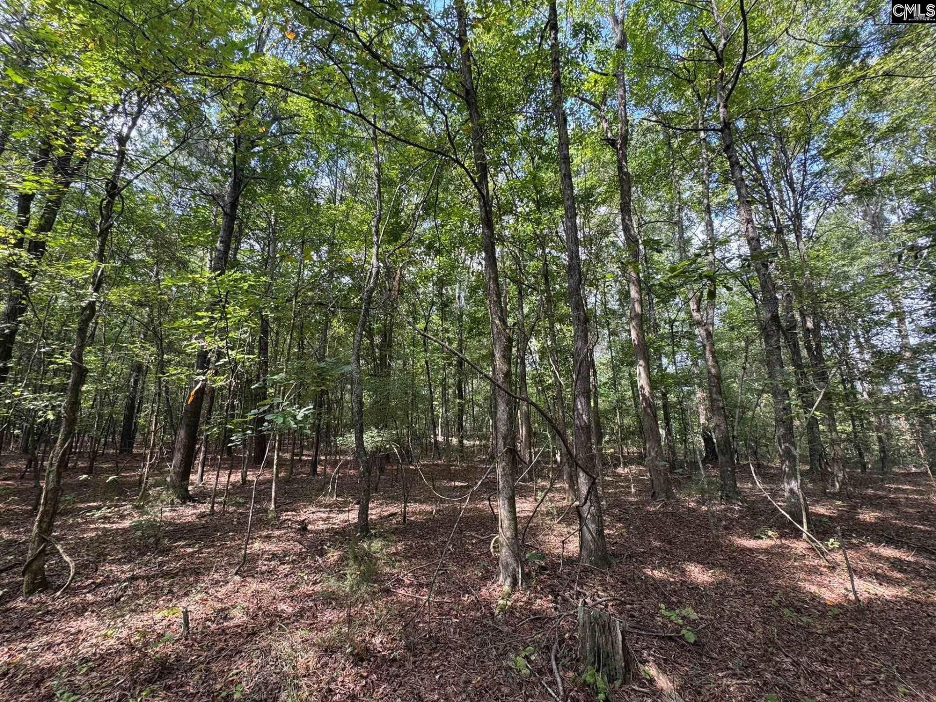 Pencreek Road  Photo 17