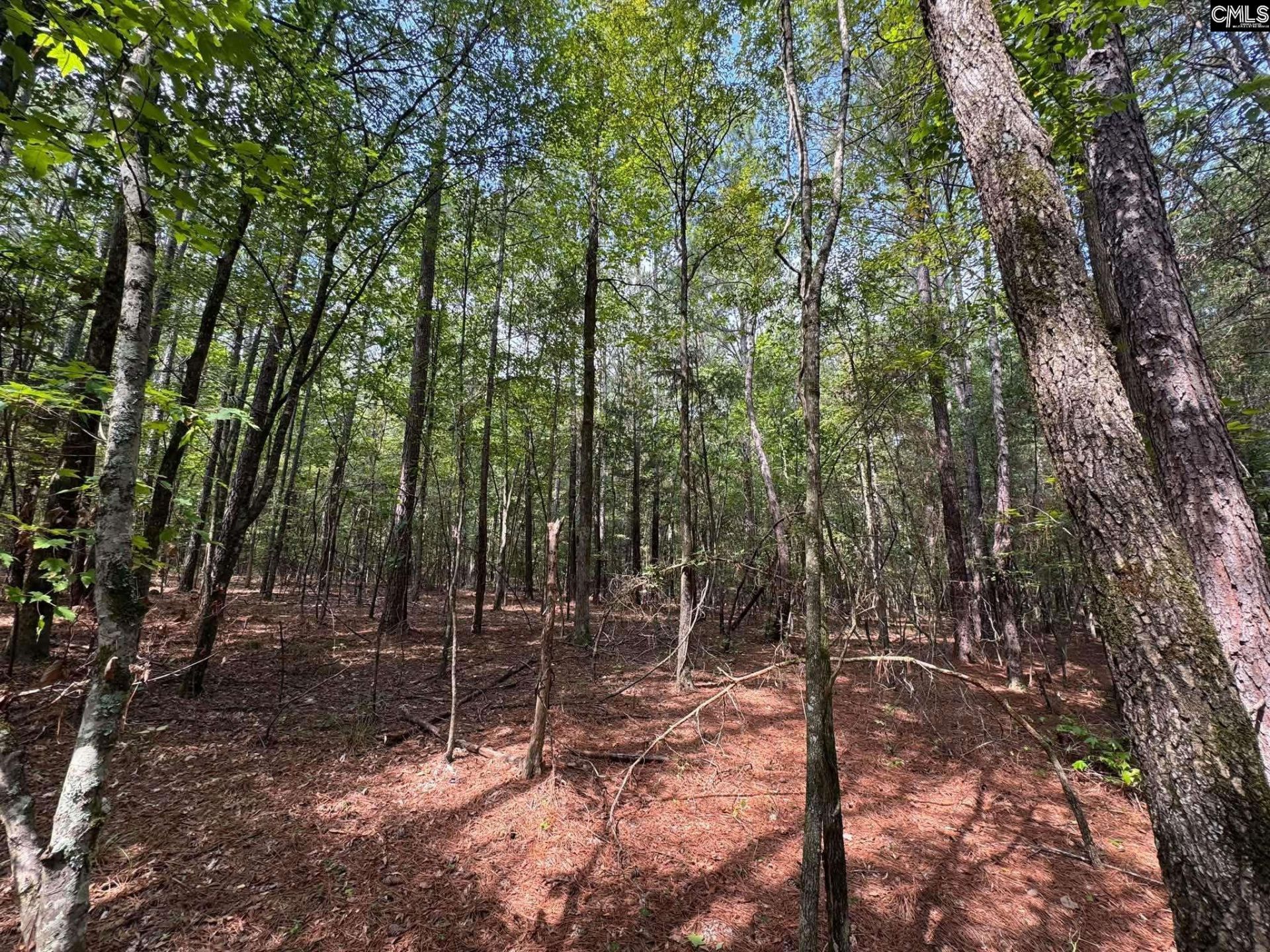 Pencreek Road  Photo 18