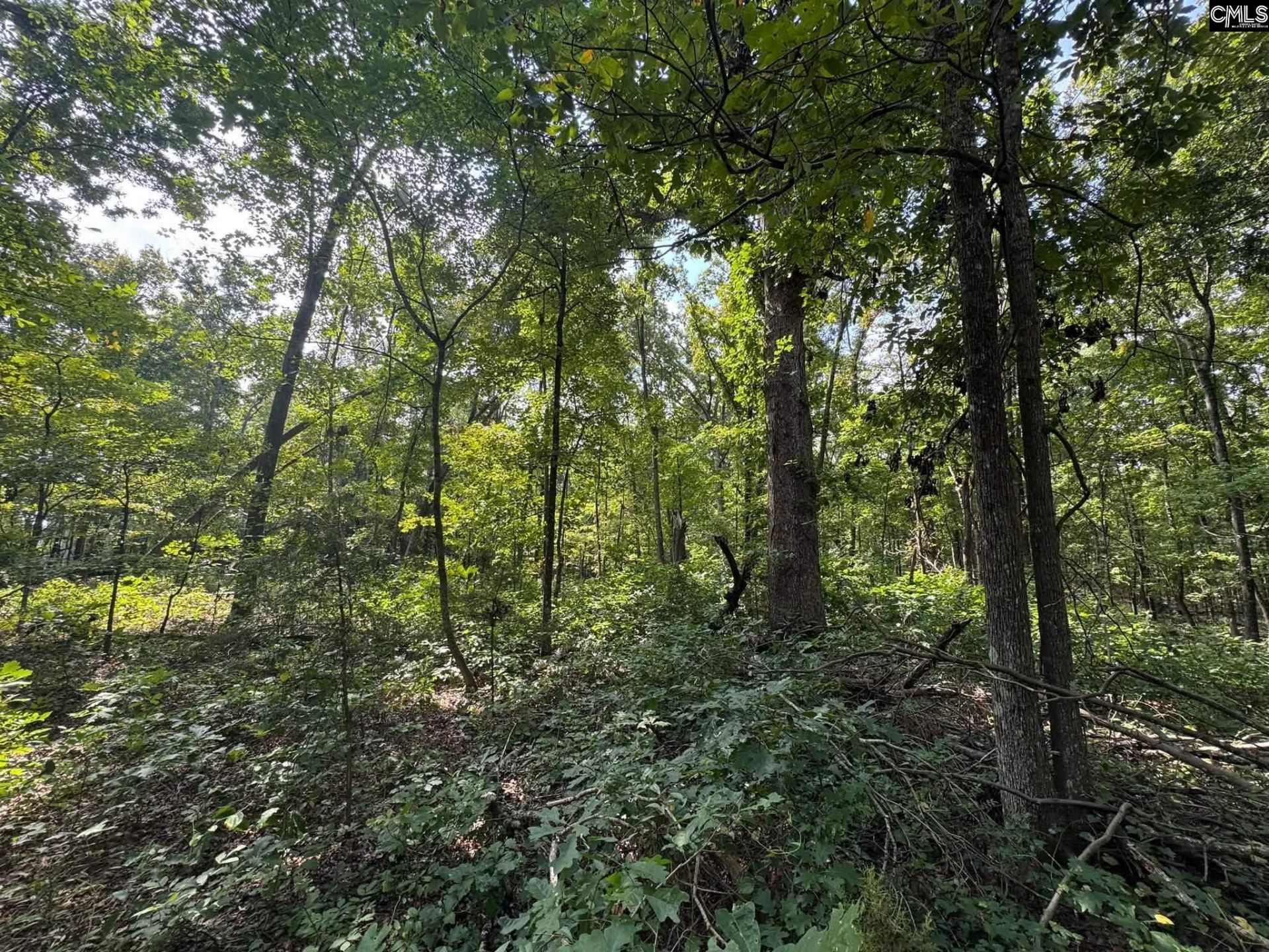 Pencreek Road  Photo 19