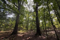 Pencreek Road  photo 4