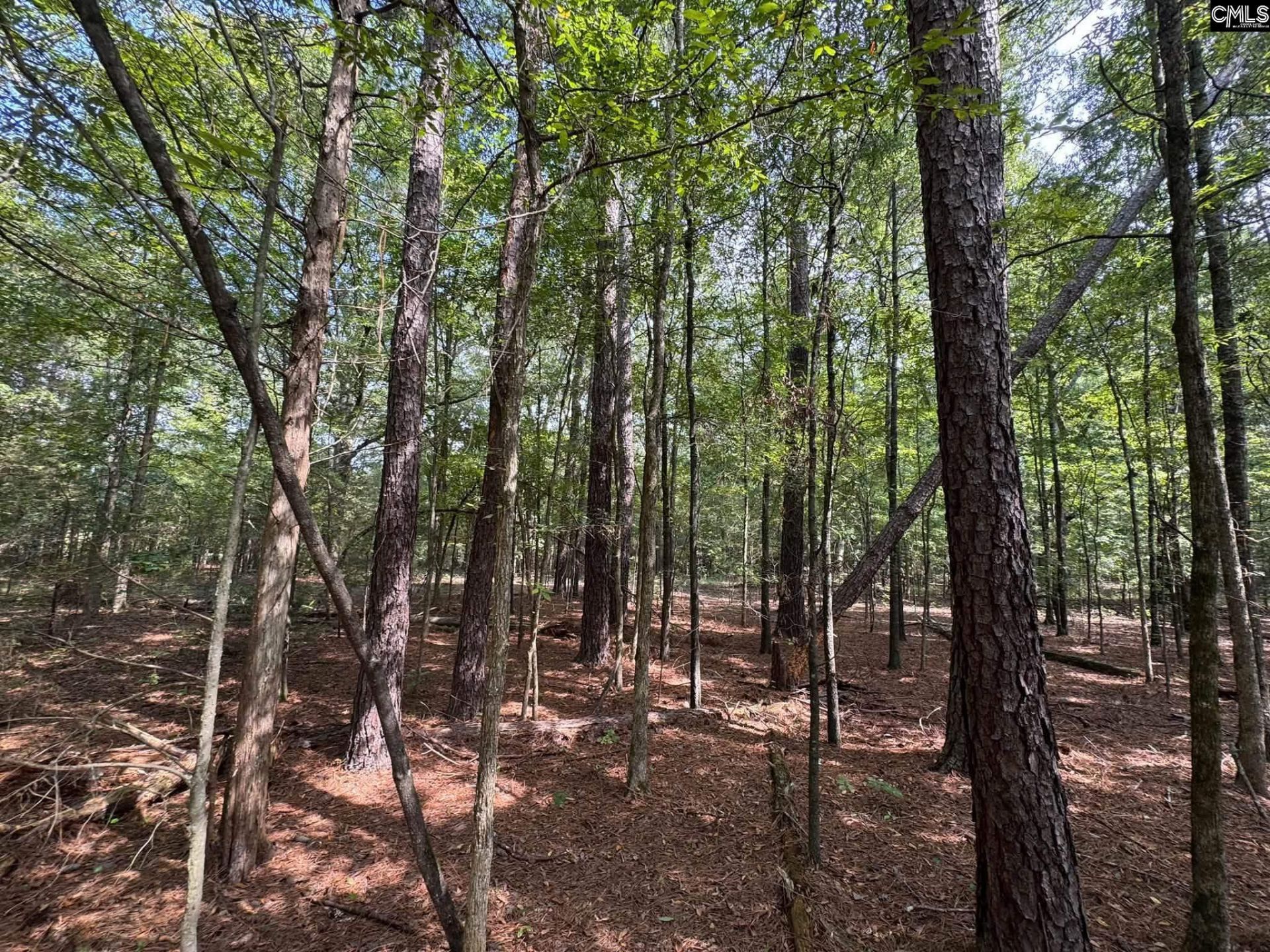 Pencreek Road  Photo 20