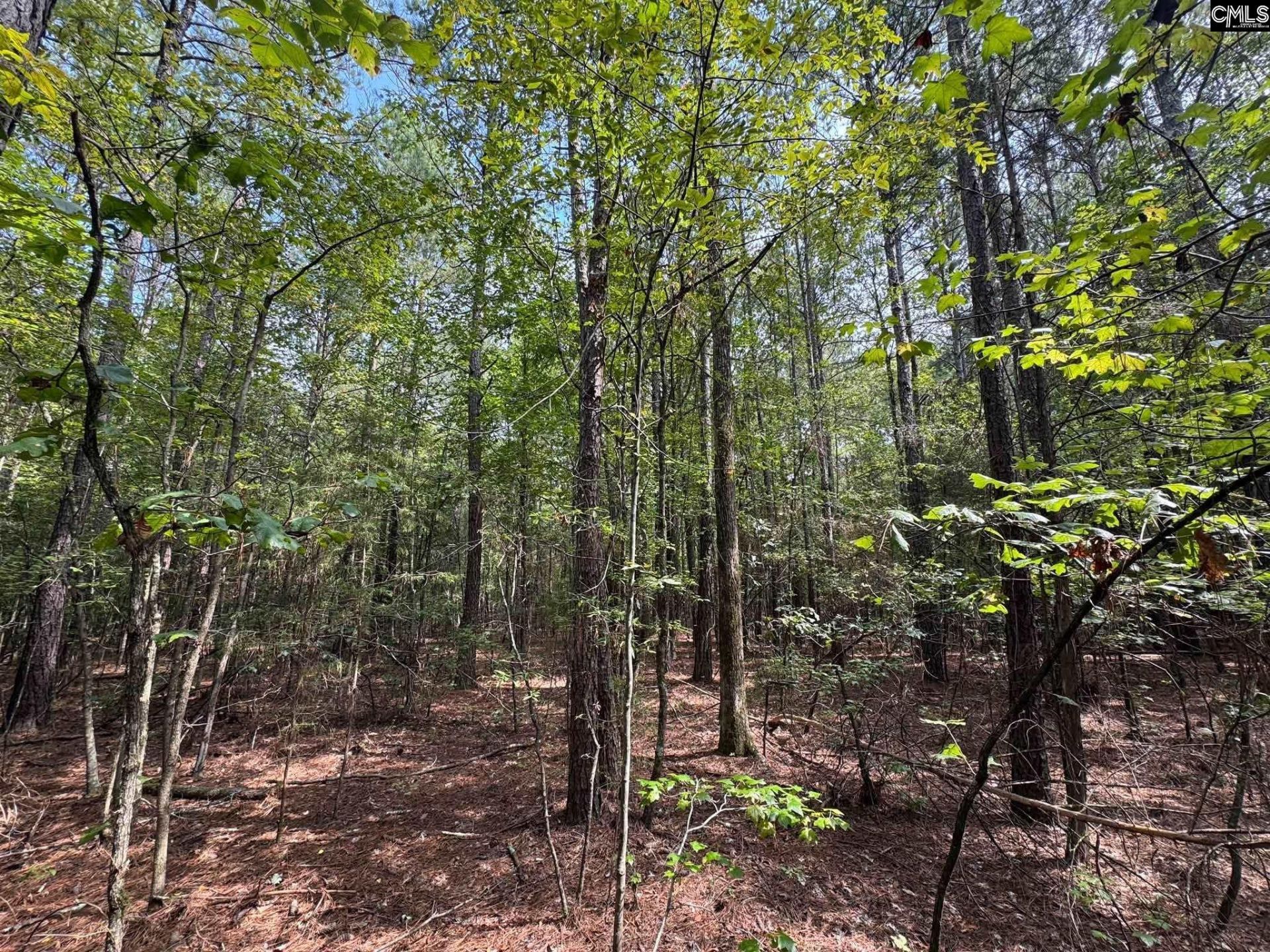 Pencreek Road  Photo 22