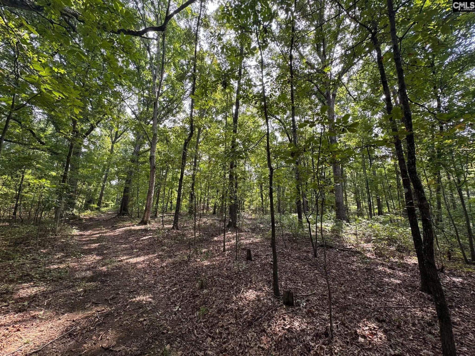 Pencreek Road  Photo 23