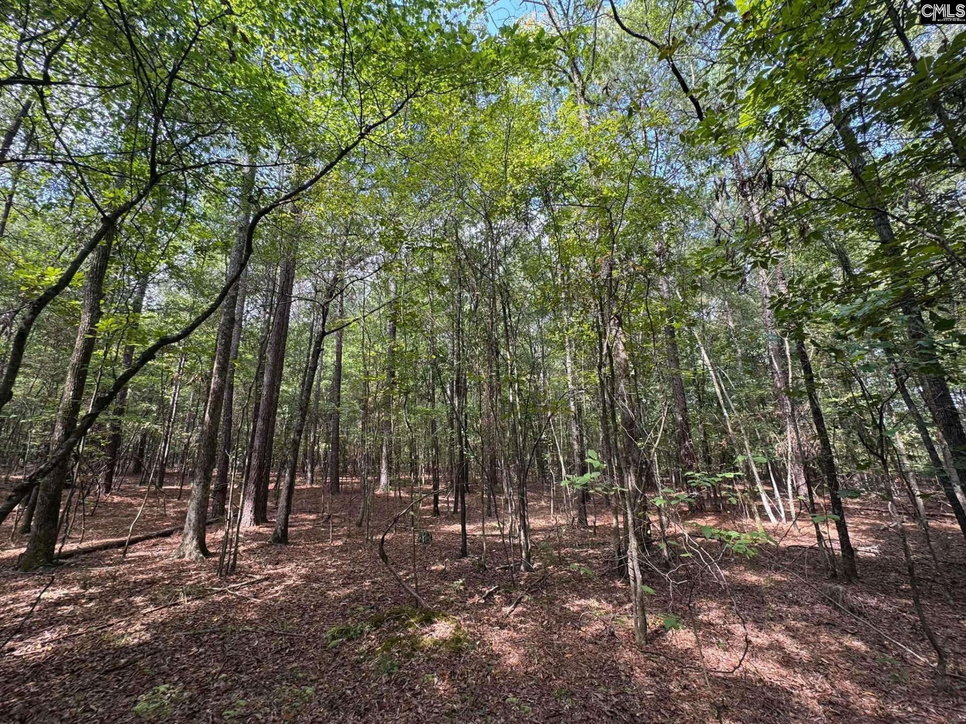 Pencreek Road  Photo 24