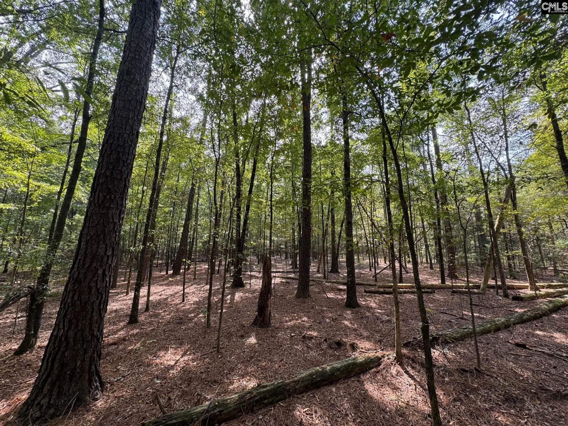Pencreek Road  Photo 25
