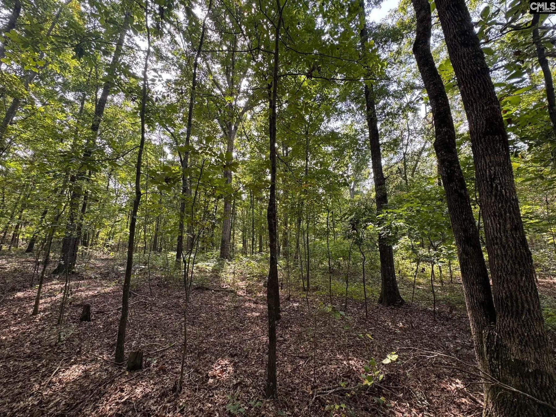 Pencreek Road  Photo 26