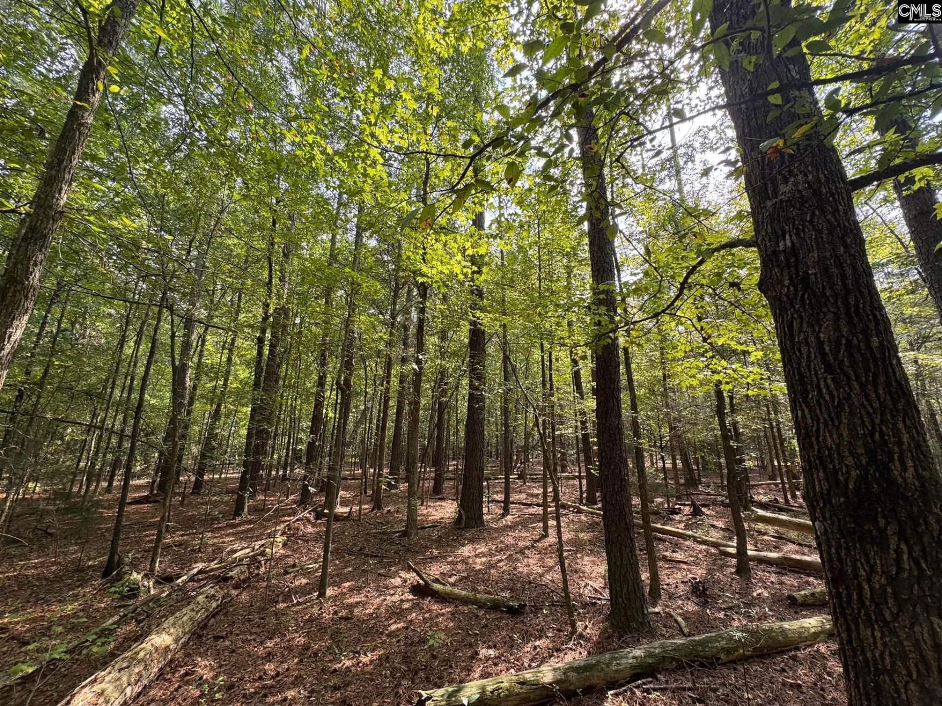Pencreek Road  Photo 27