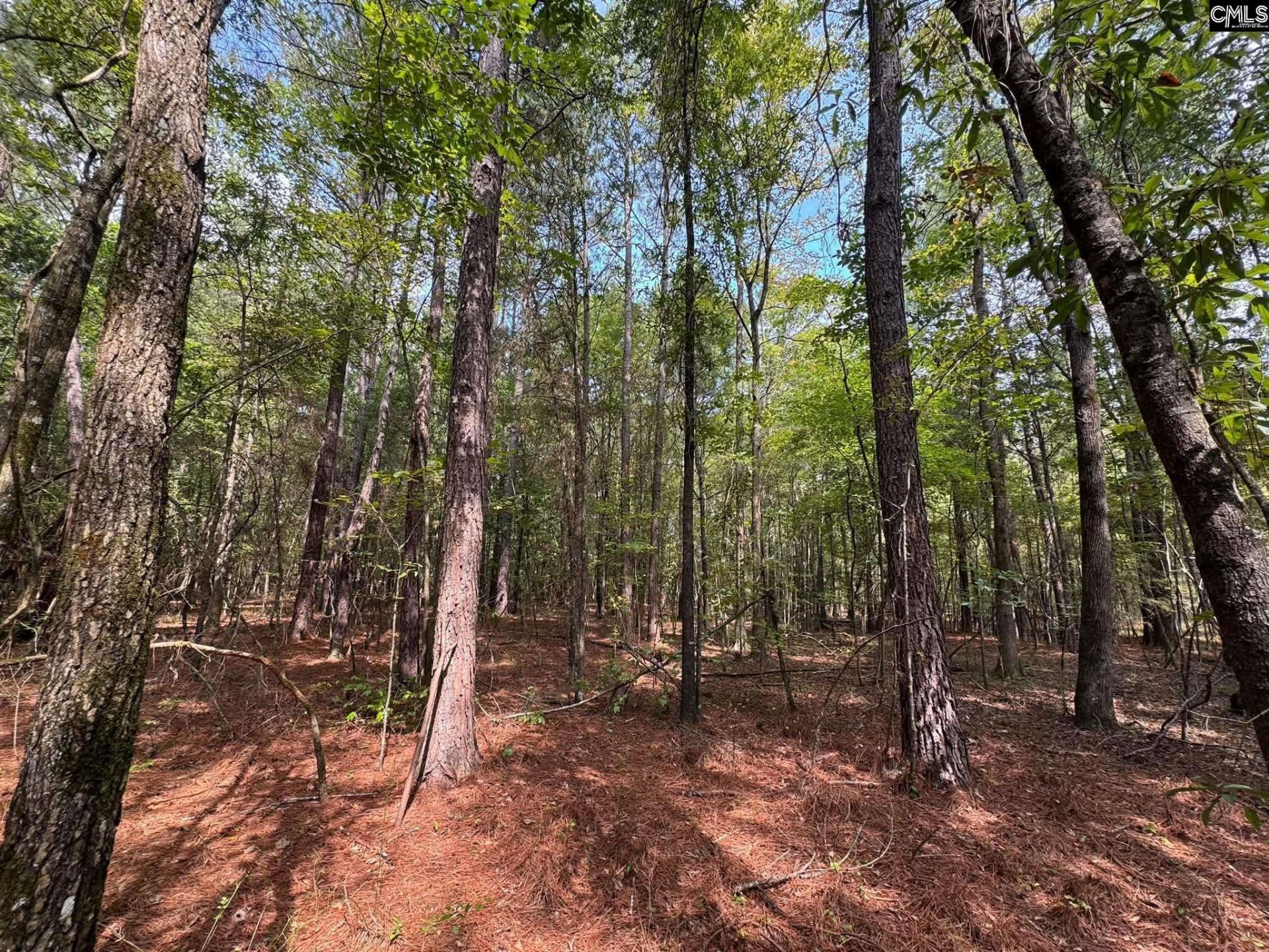 Pencreek Road  Photo 28