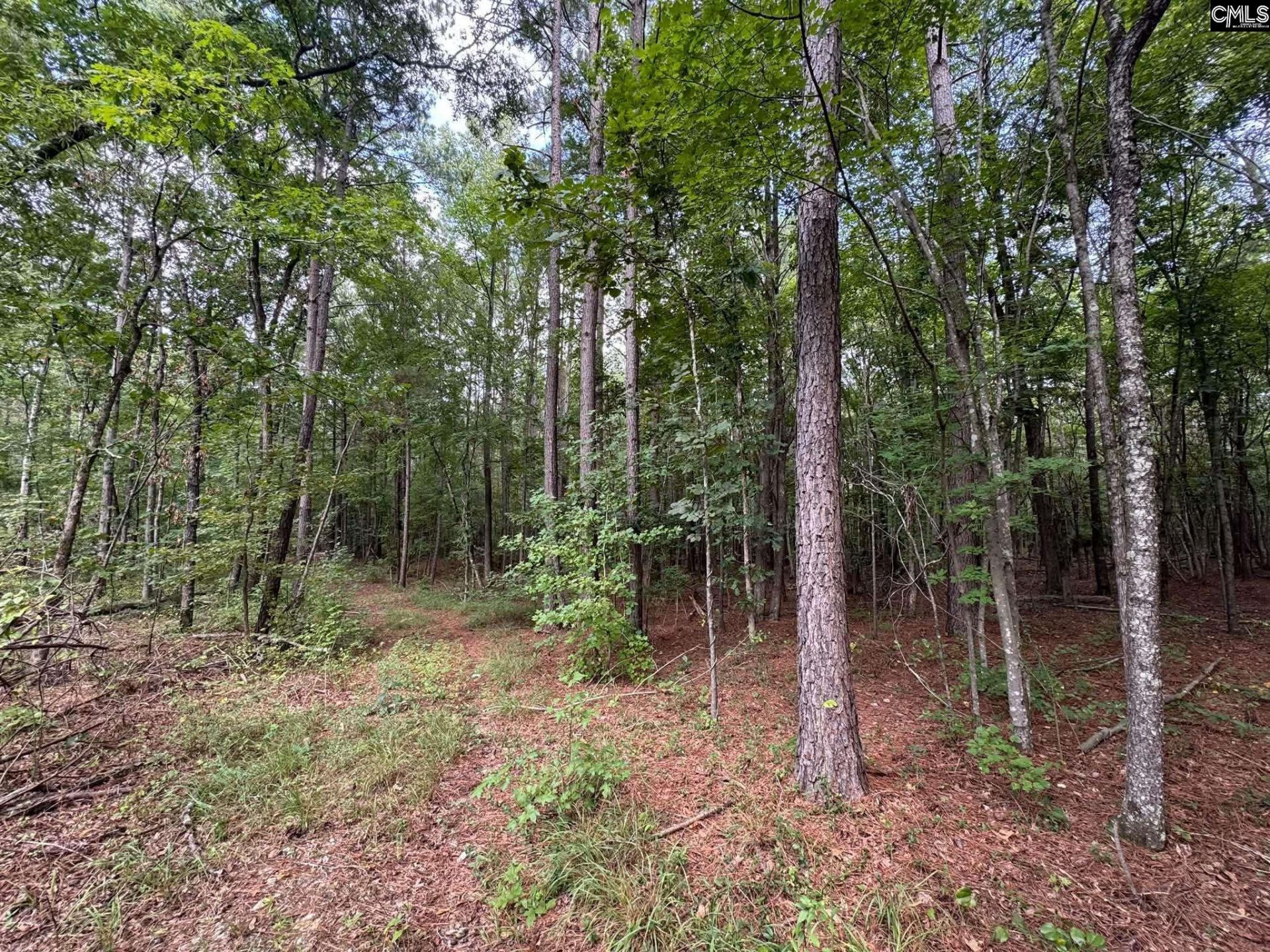 Pencreek Road  Photo 29