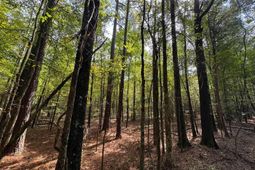 Pencreek Road  photo 4