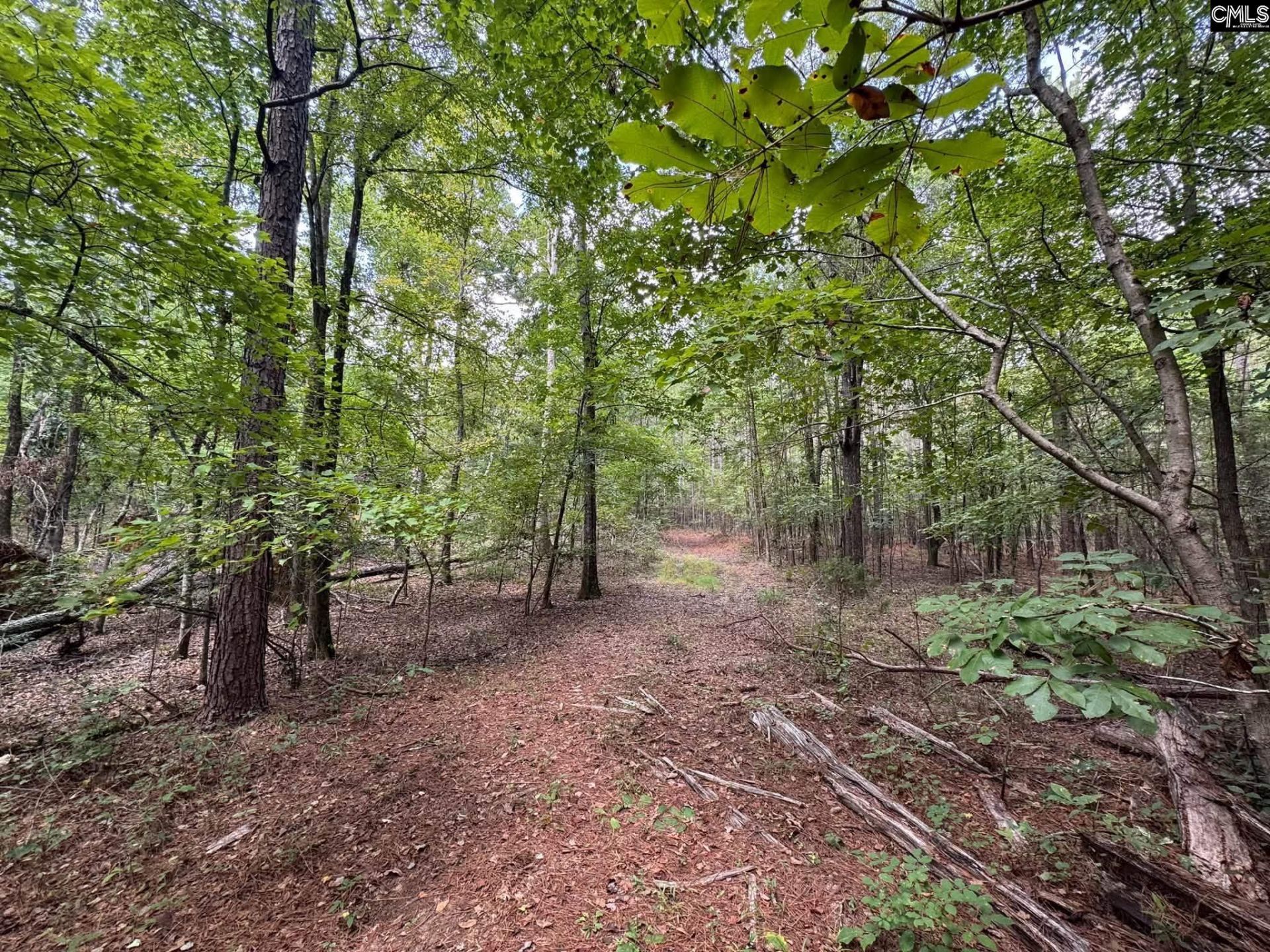 Pencreek Road  Photo 30