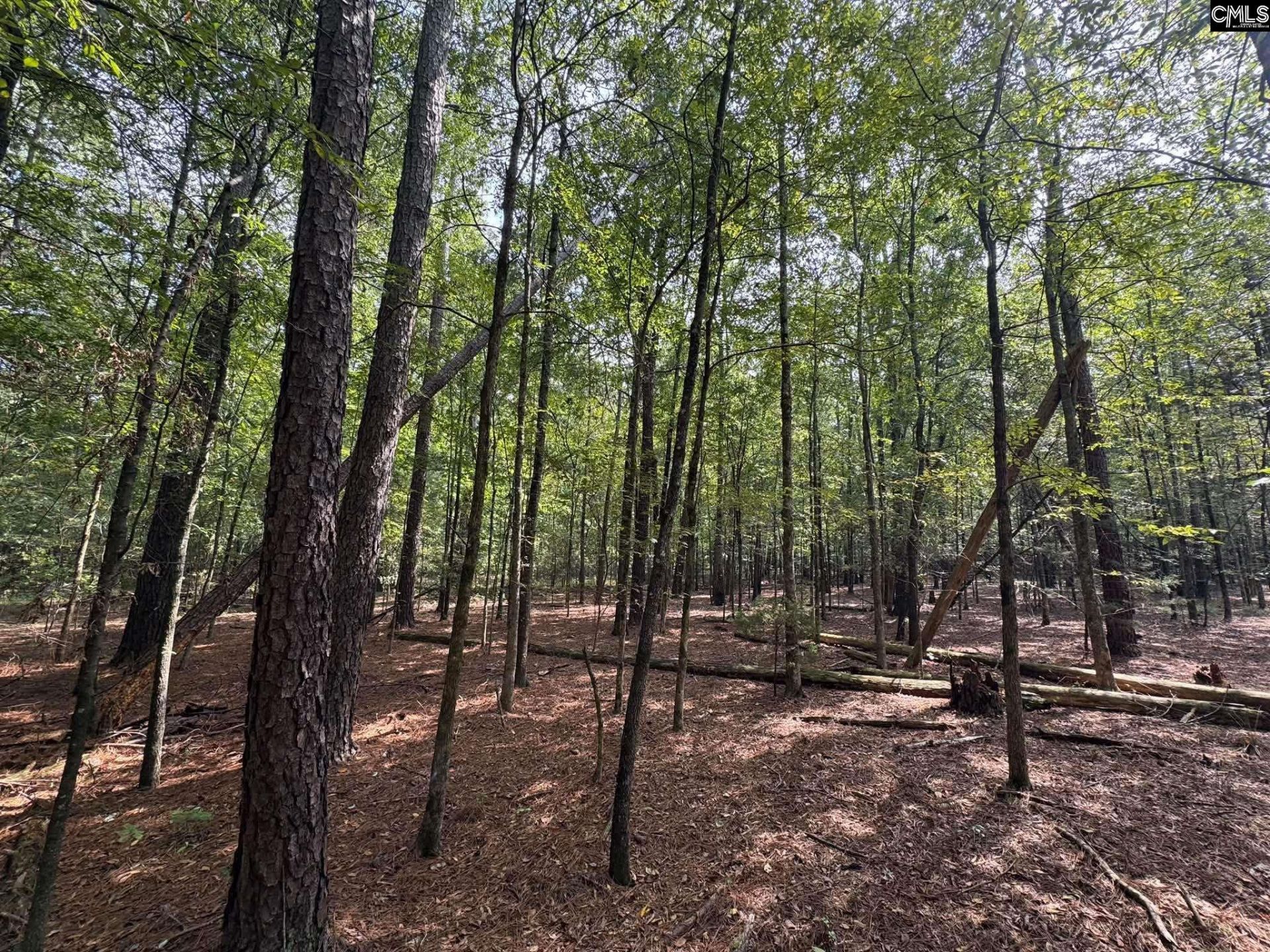 Pencreek Road  Photo 31