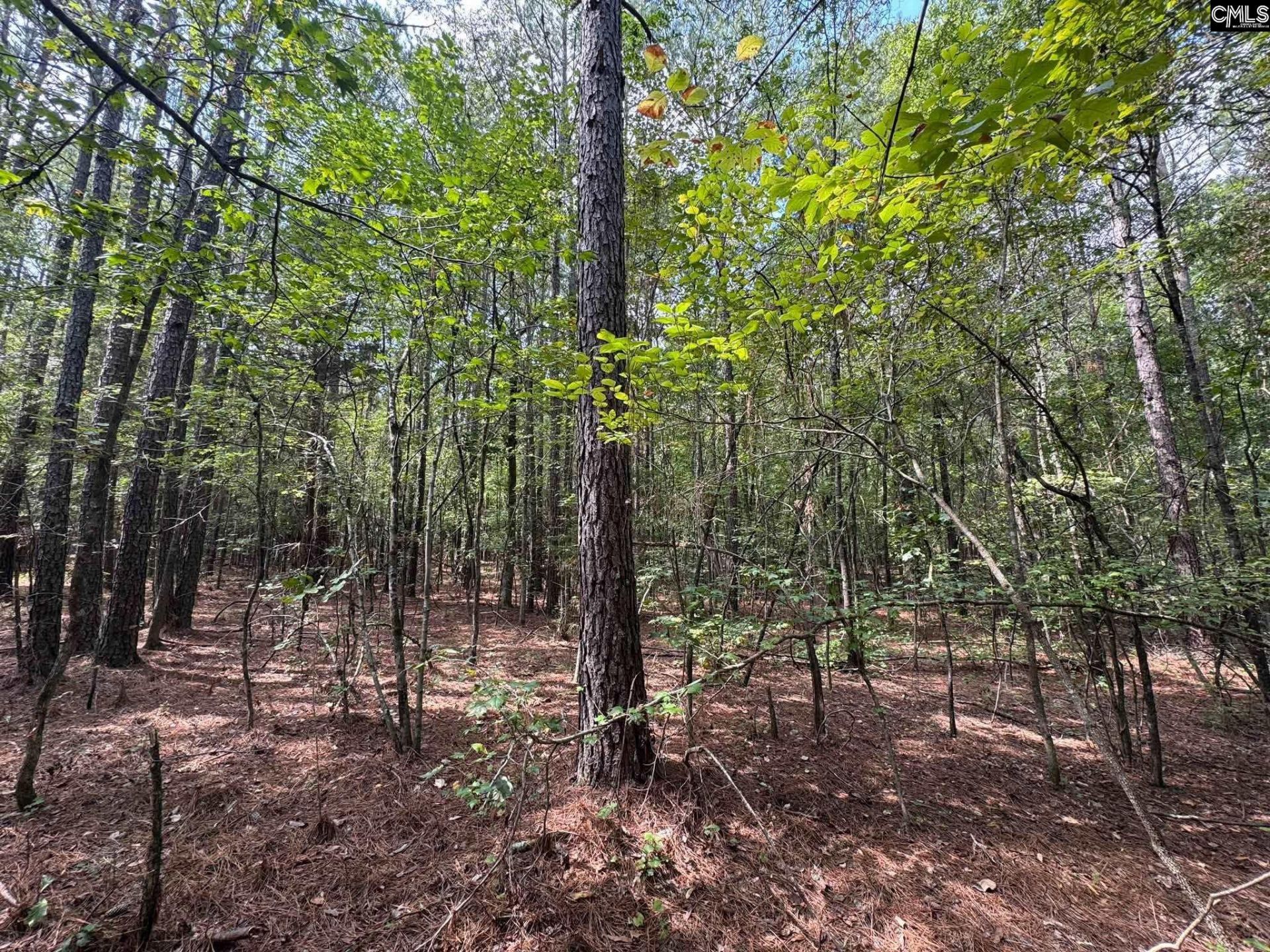 Pencreek Road  Photo 35