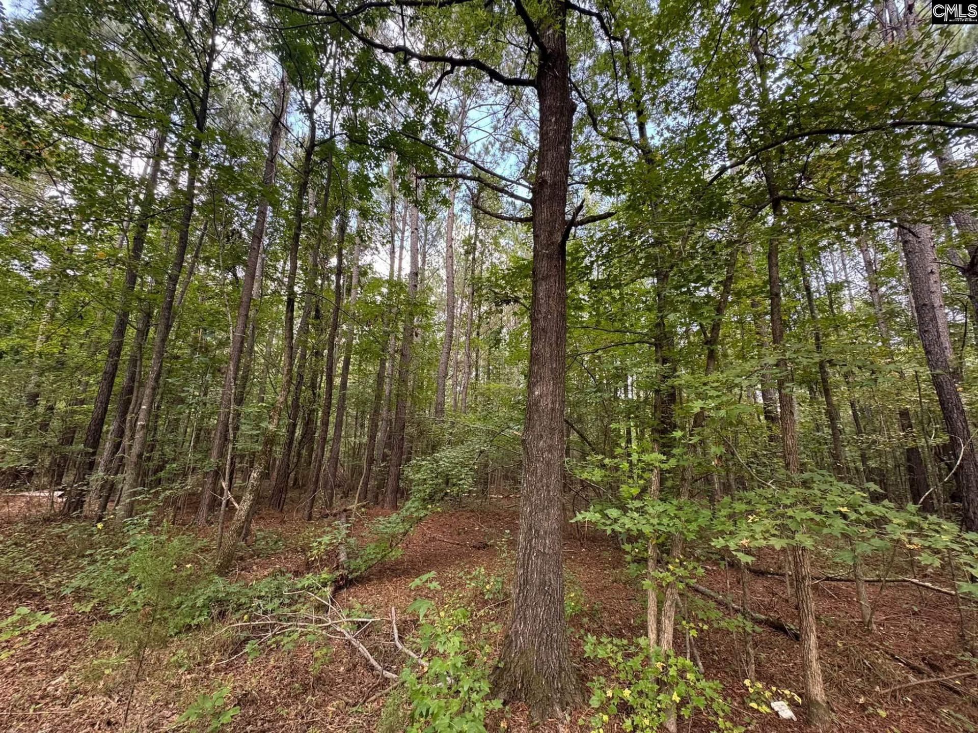 Pencreek Road  Photo 37