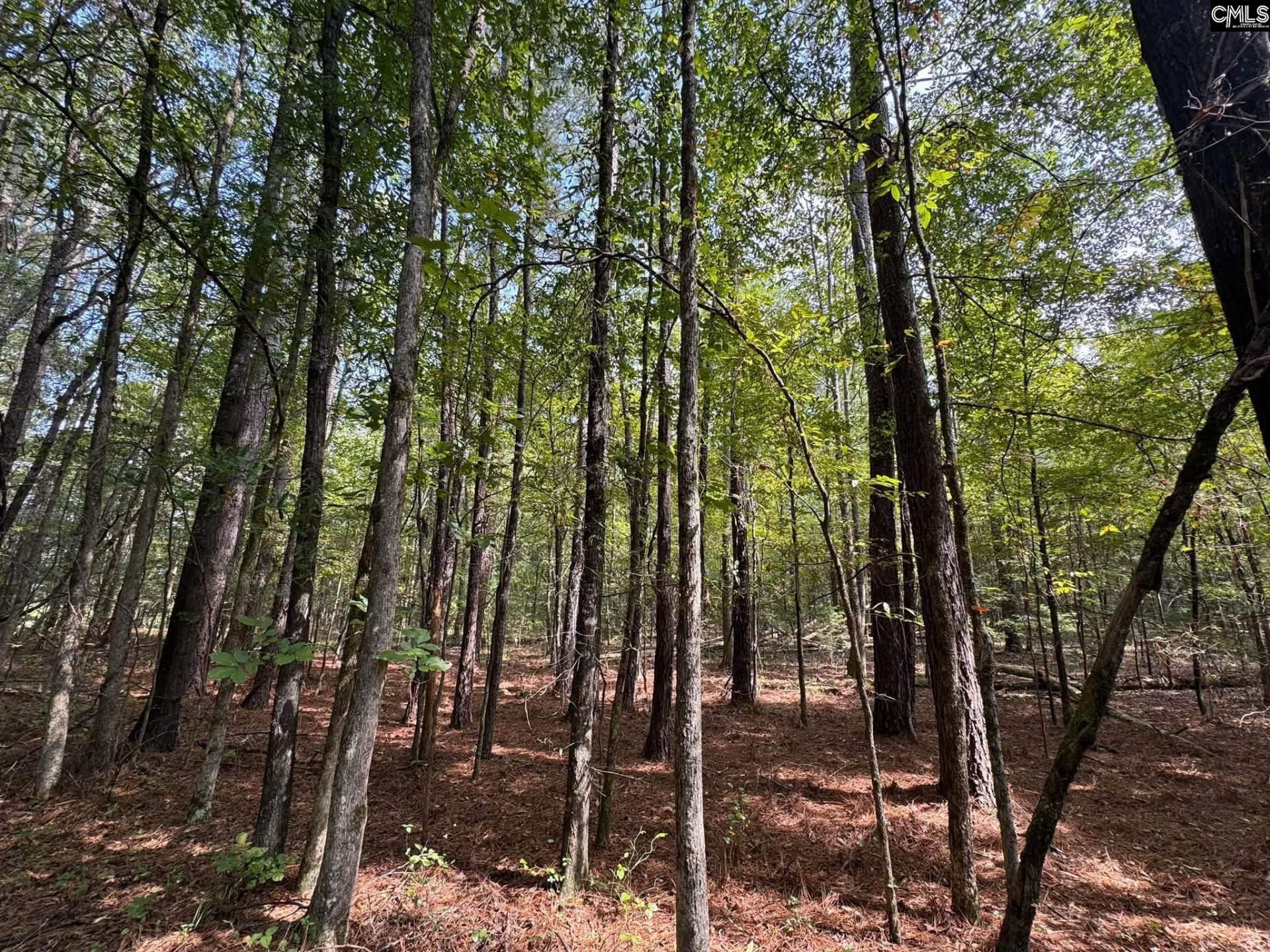 Pencreek Road  Photo 38