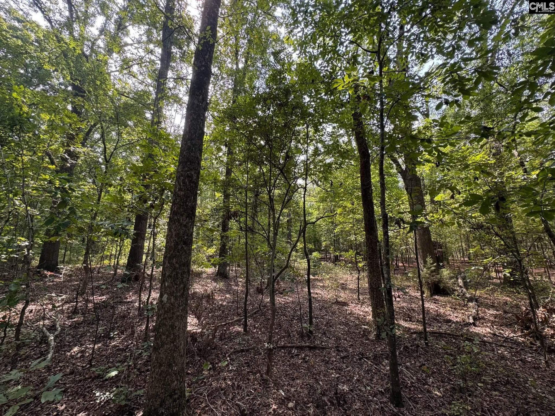 Pencreek Road  Photo 39