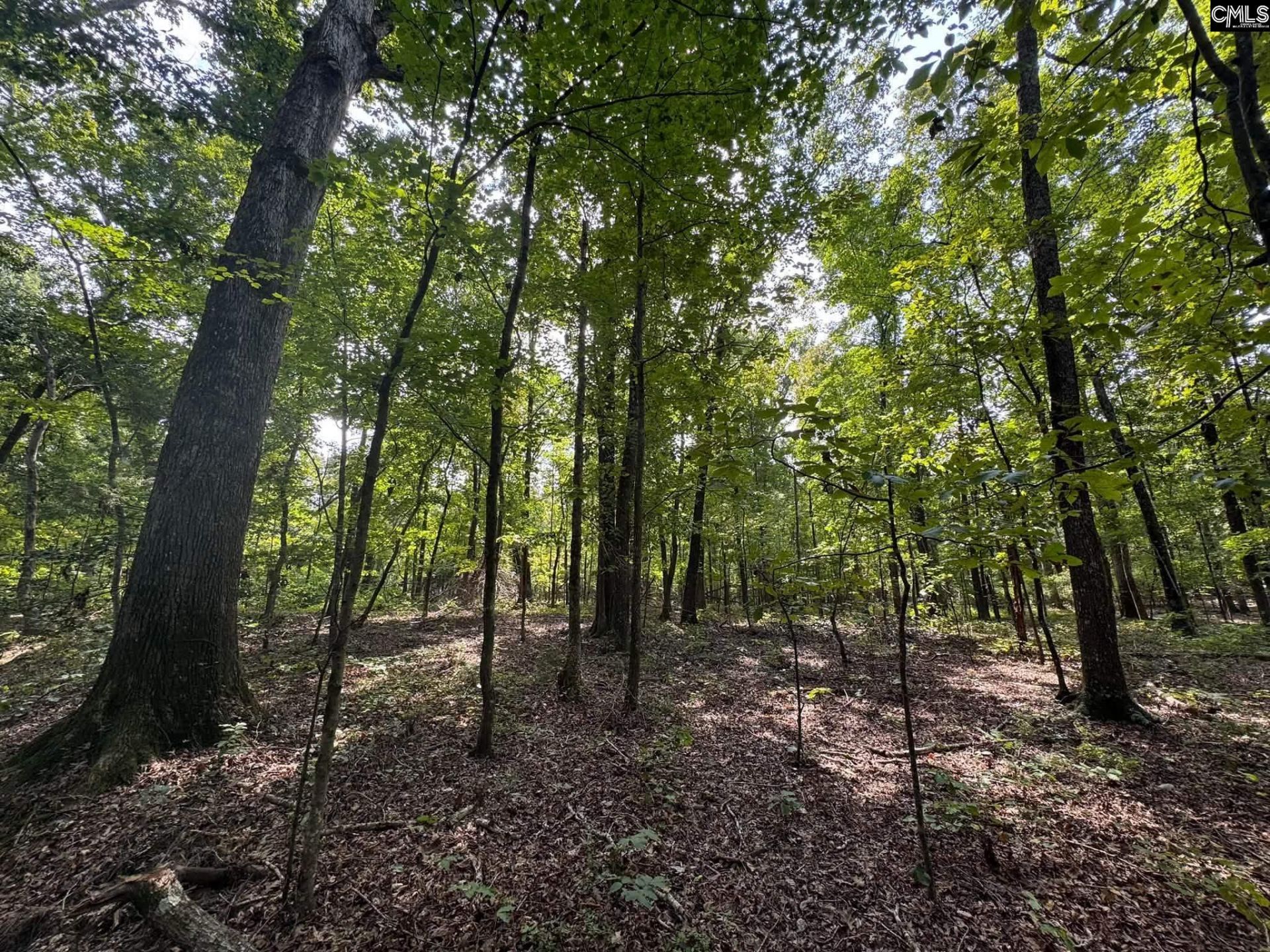Pencreek Road  Photo 4
