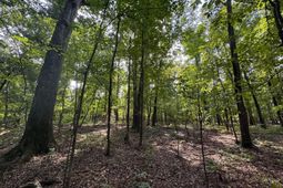 Pencreek Road  photo 4