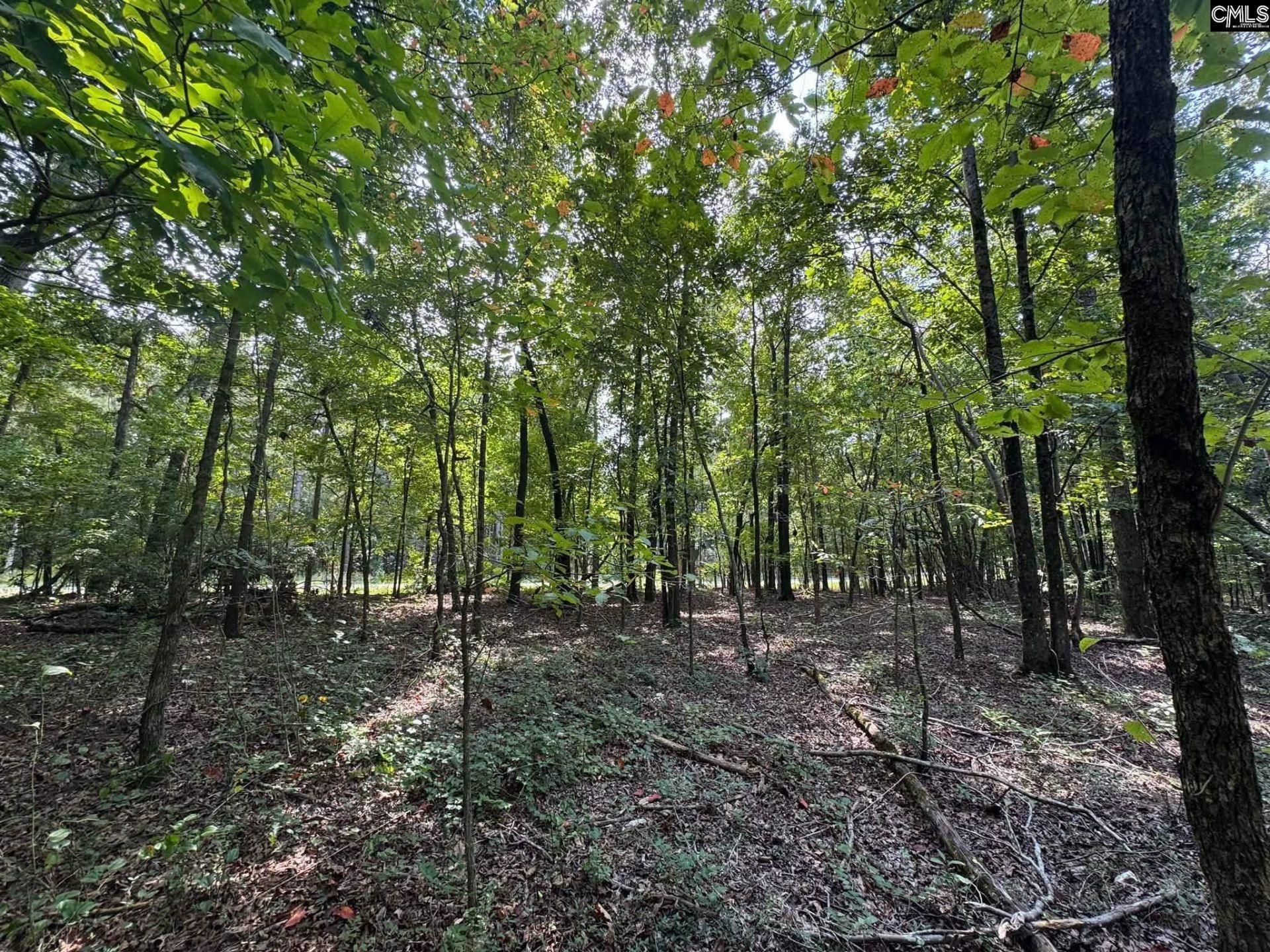 Pencreek Road  Photo 40