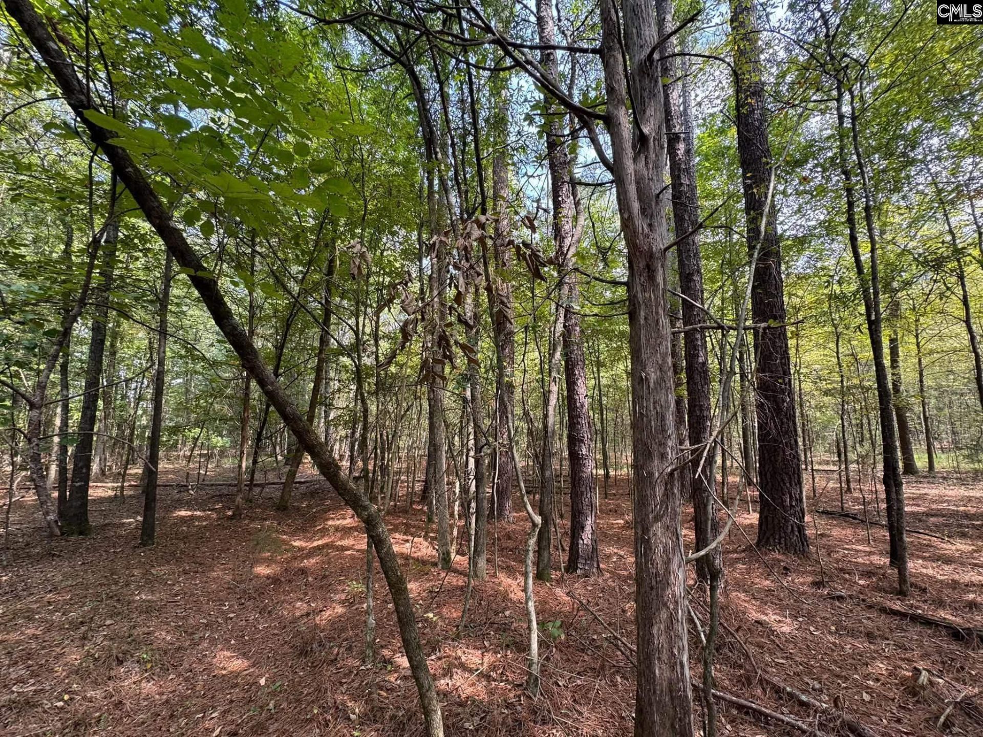 Pencreek Road  Photo 42
