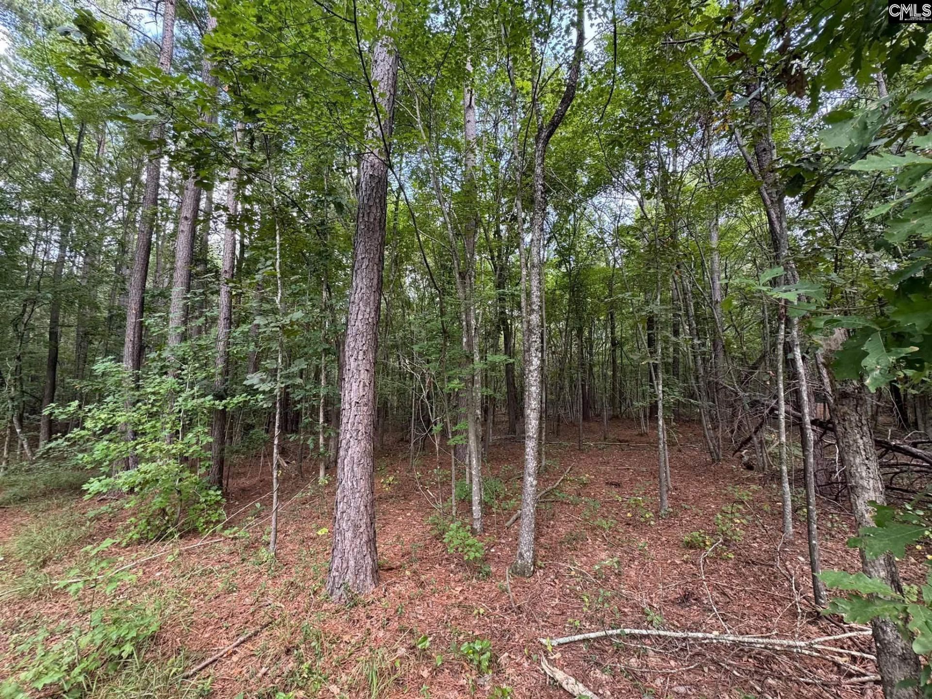 Pencreek Road  Photo 43