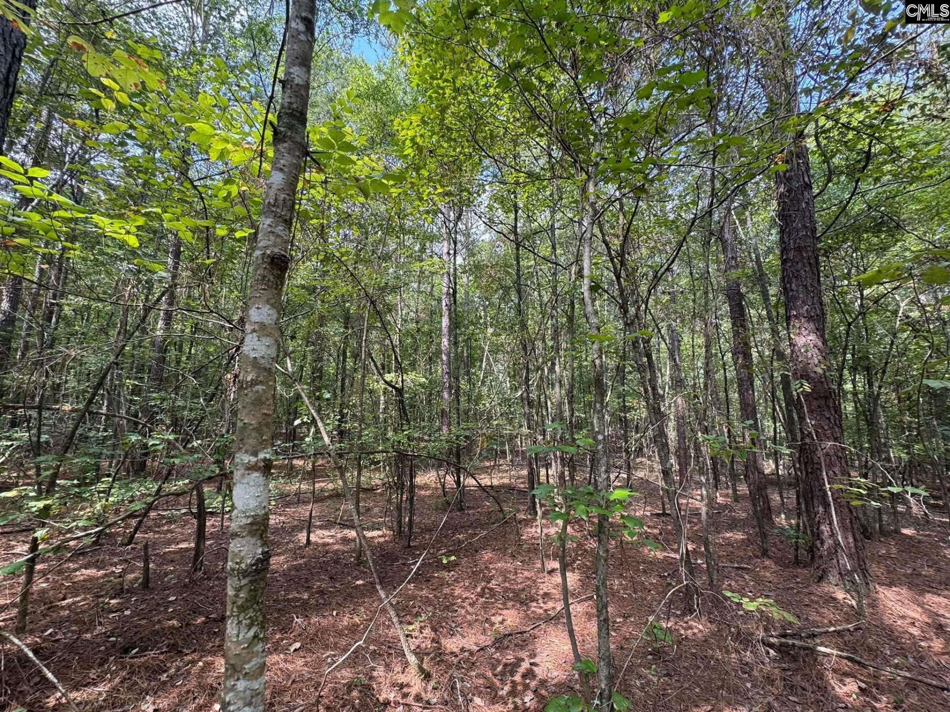 Pencreek Road  Photo 44