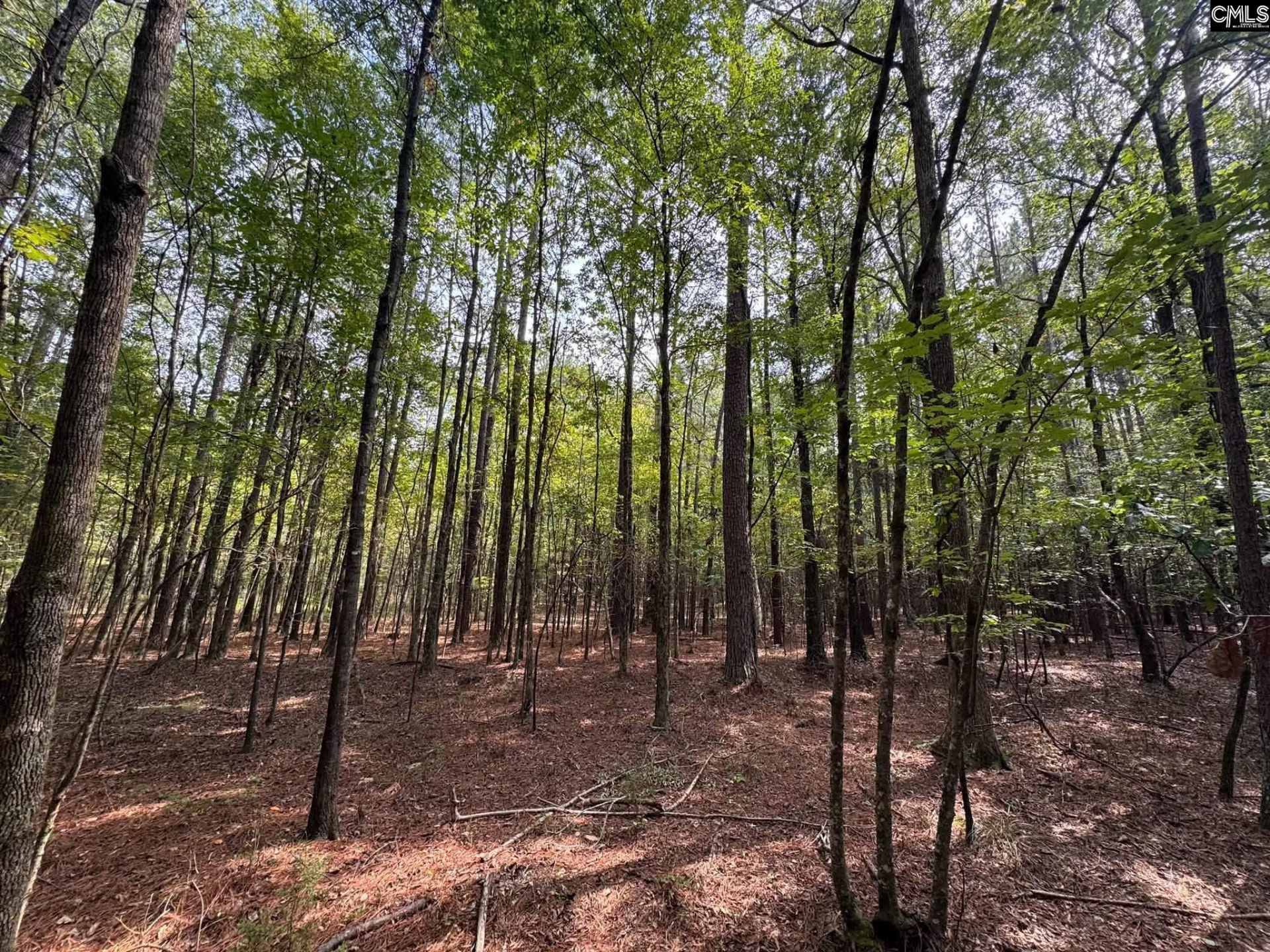 Pencreek Road  Photo 46