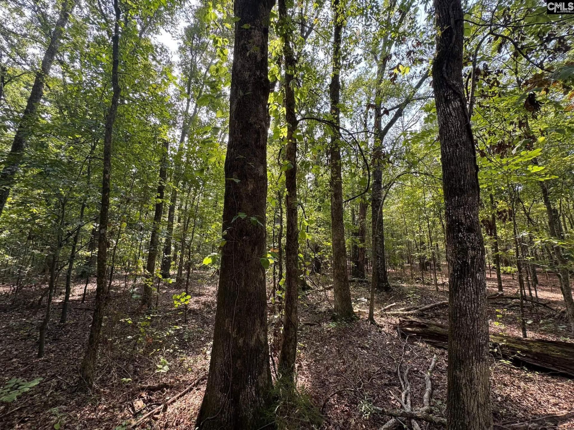 Pencreek Road  Photo 47