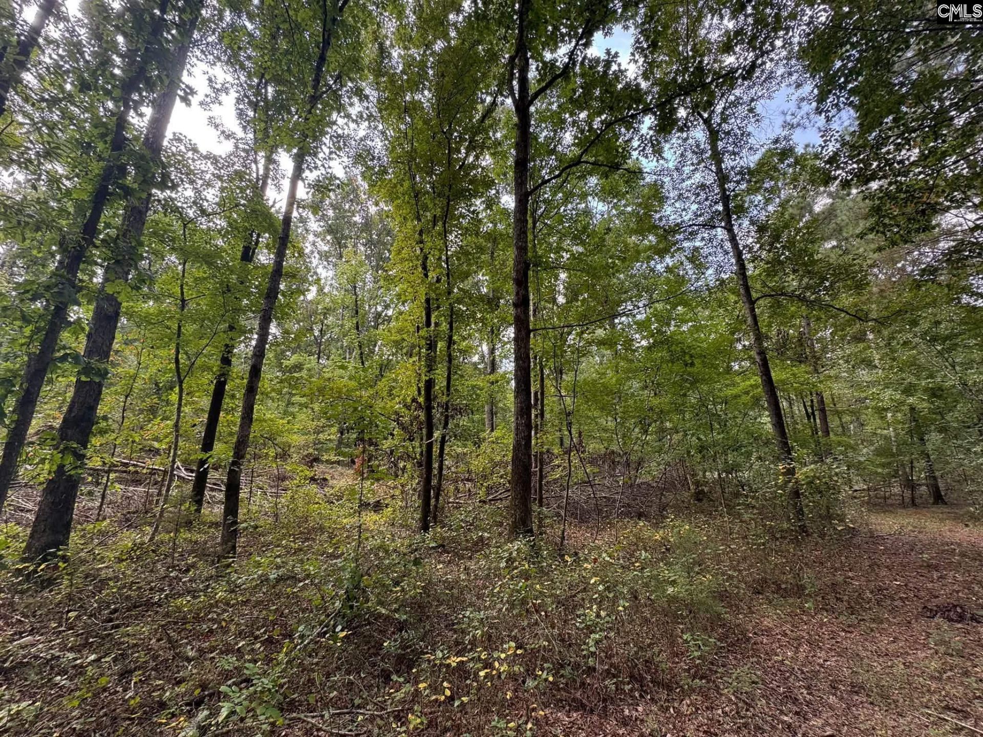 Pencreek Road  Photo 48