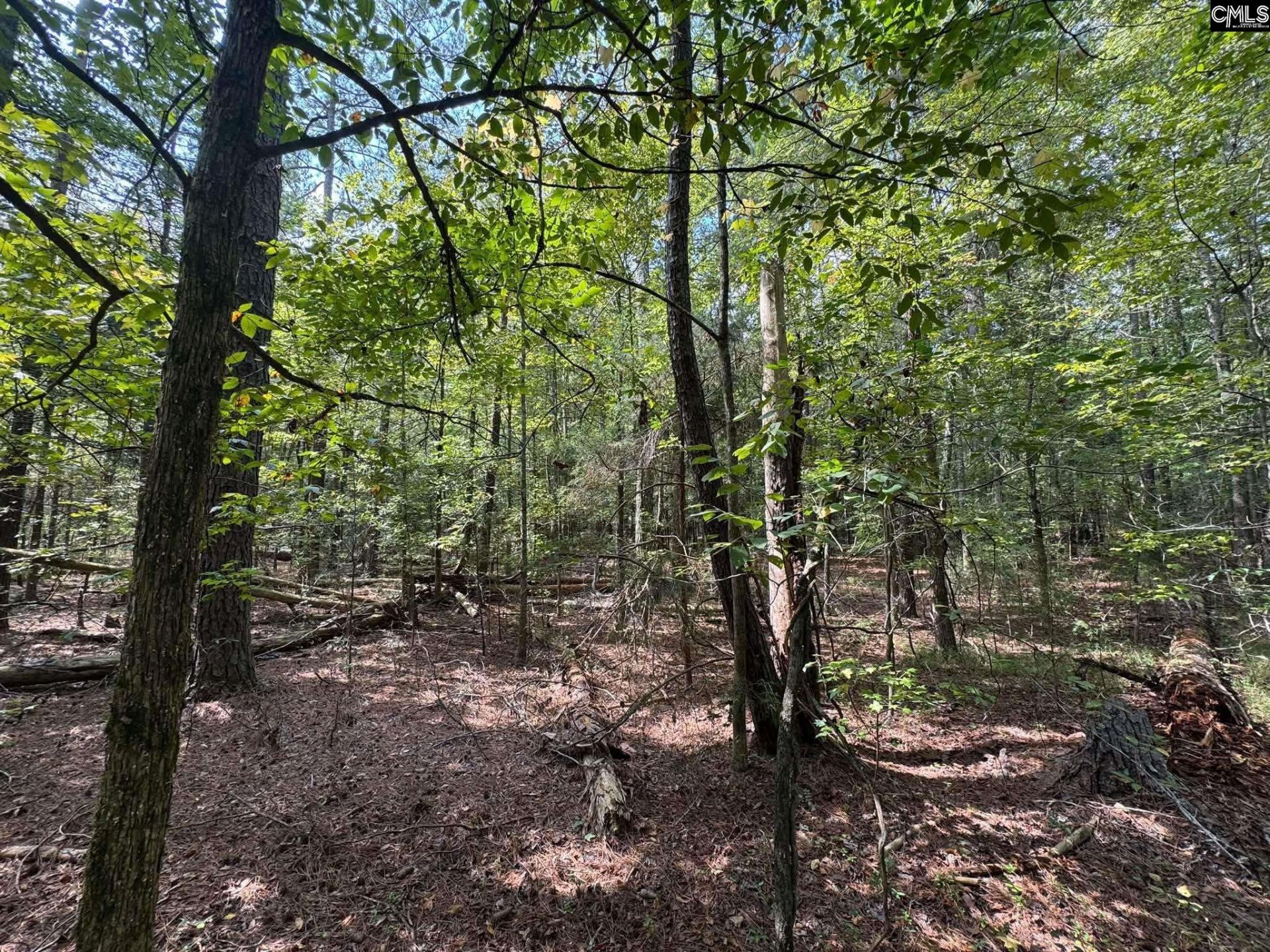 Pencreek Road  Photo 49