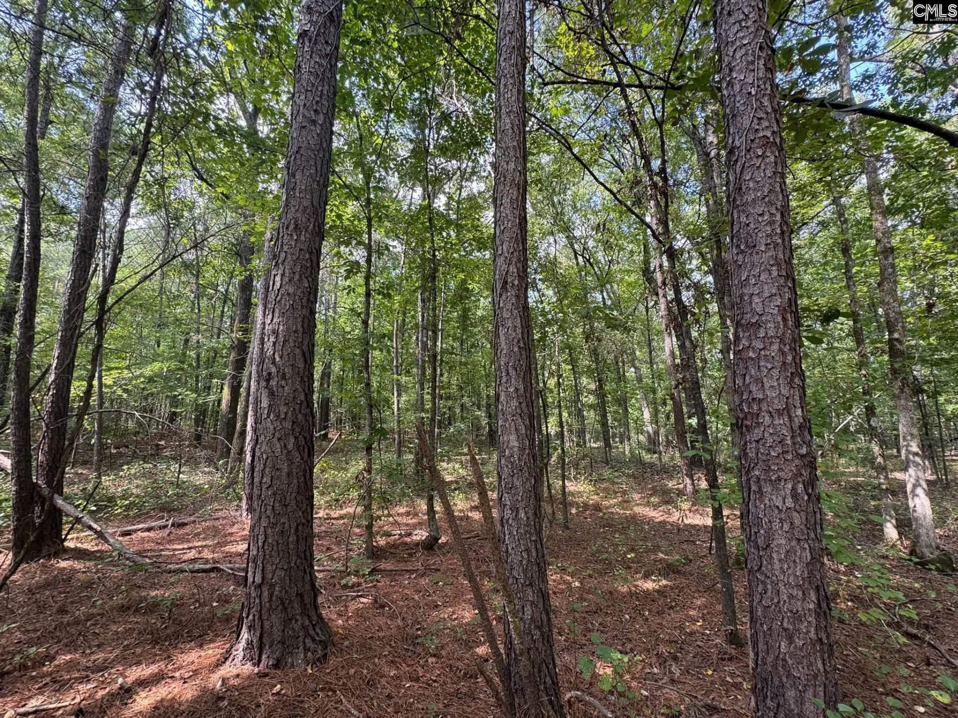 Pencreek Road  Photo 5