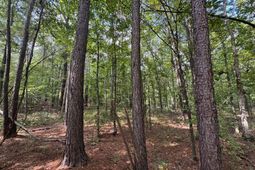 Pencreek Road  photo 4