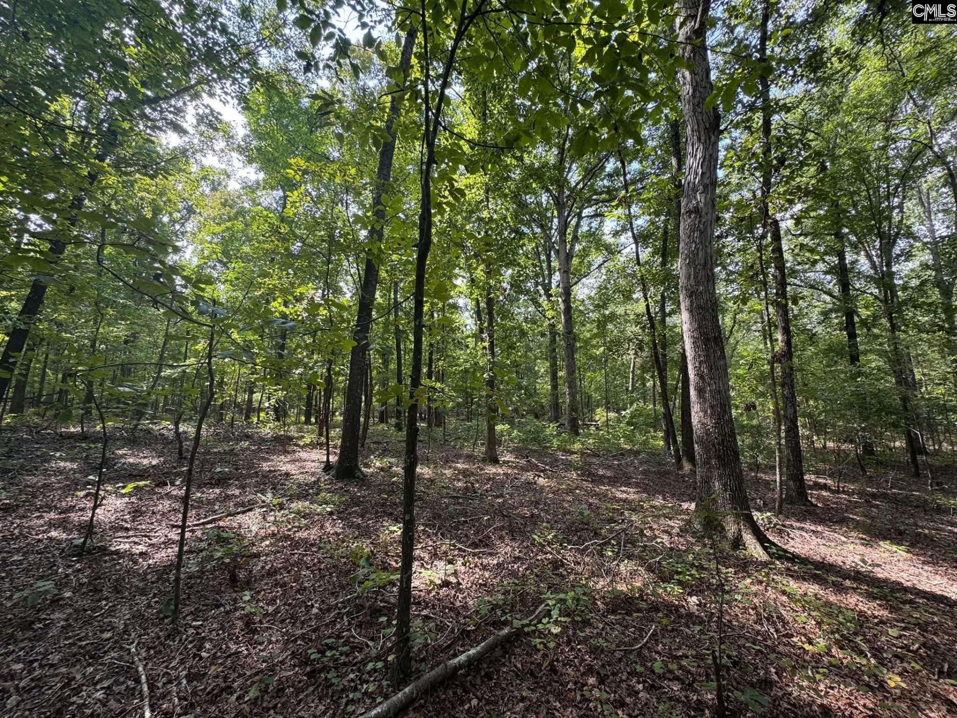Pencreek Road  Photo 50