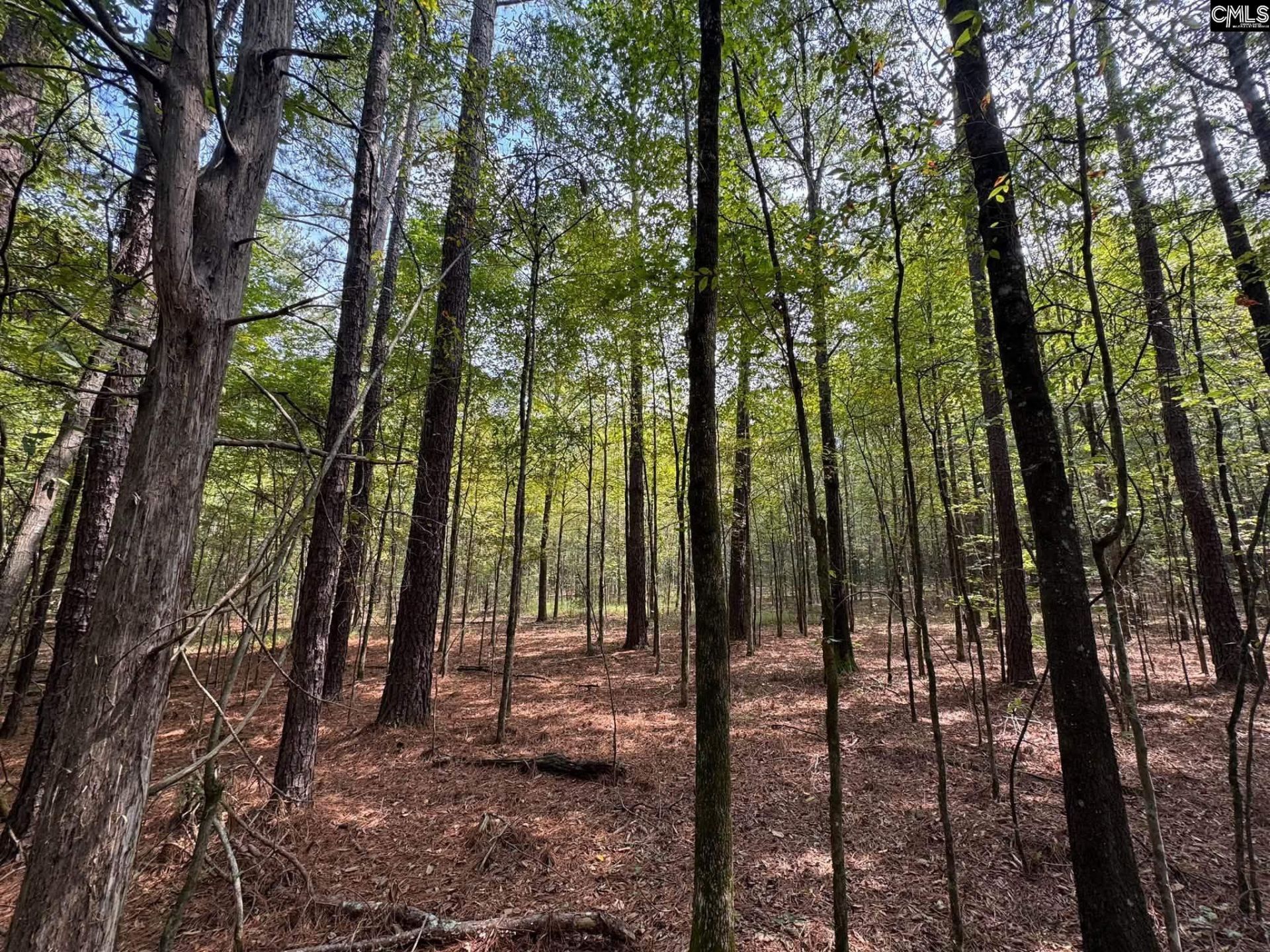Pencreek Road  Photo 51