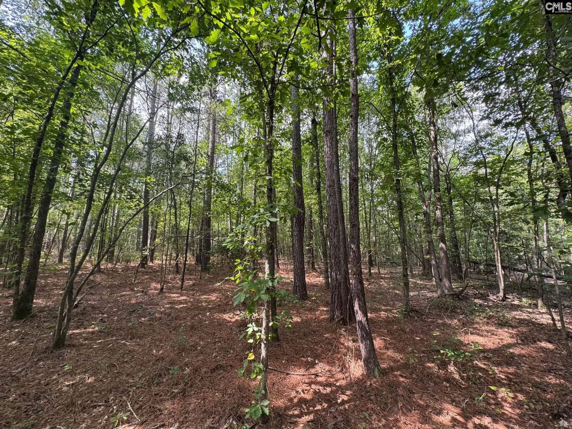 Pencreek Road  Photo 53