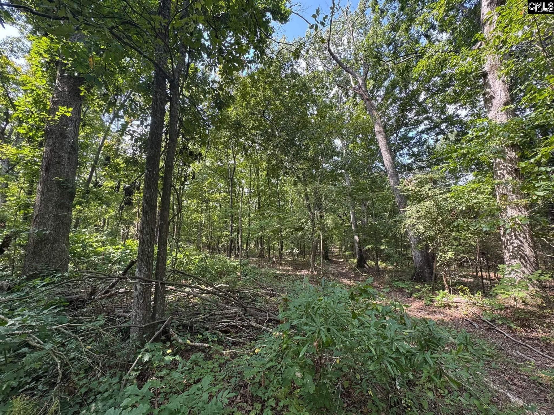 Pencreek Road  Photo 54