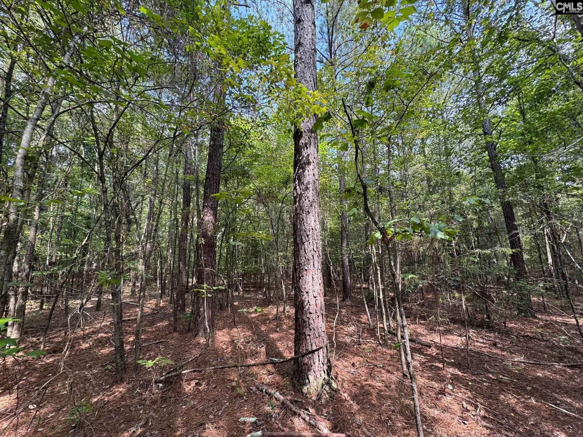Pencreek Road  Photo 55