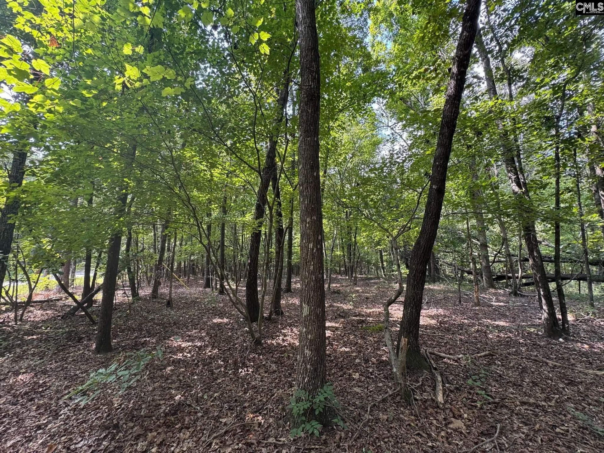 Pencreek Road  Photo 56