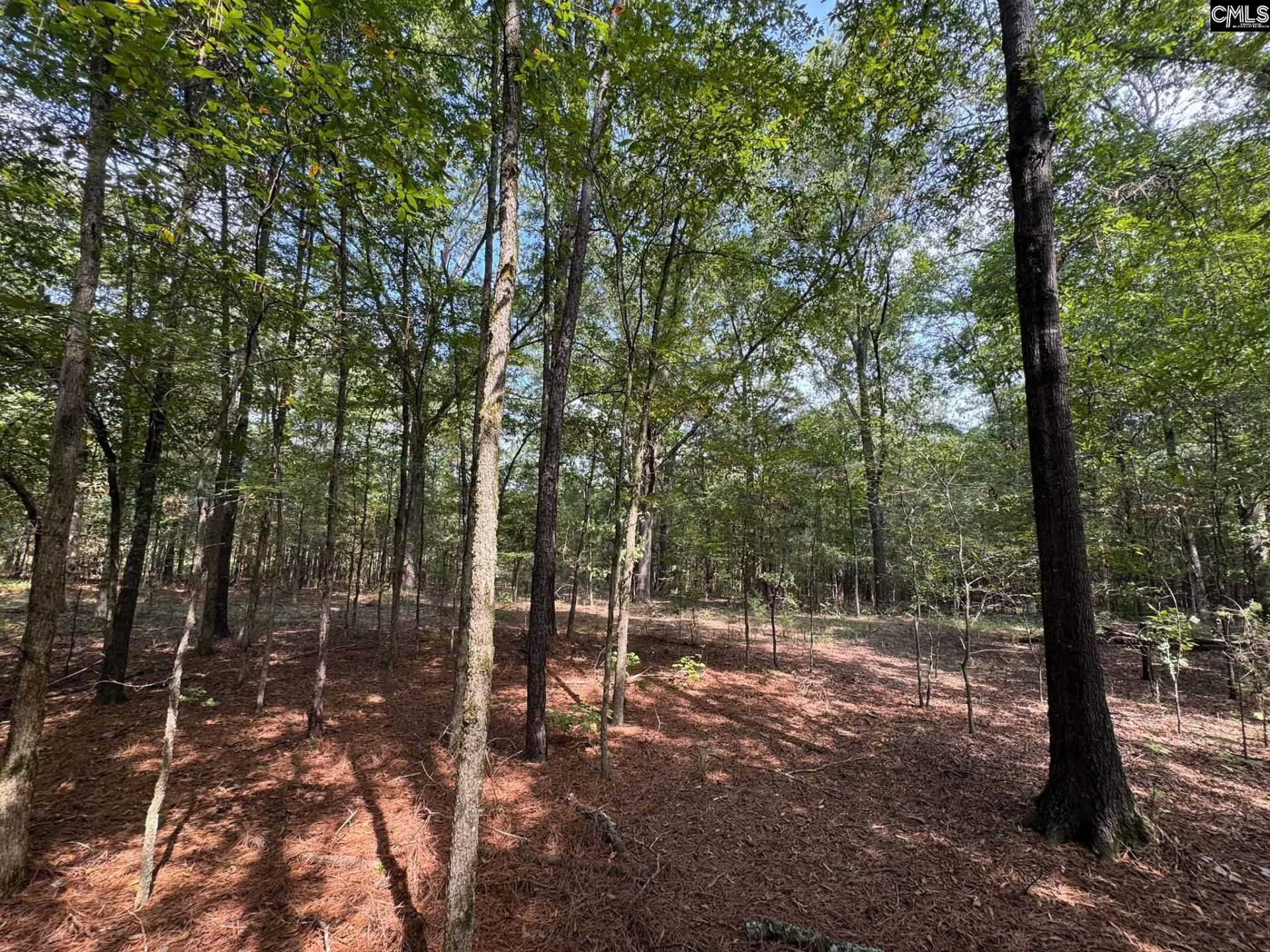Pencreek Road  Photo 57