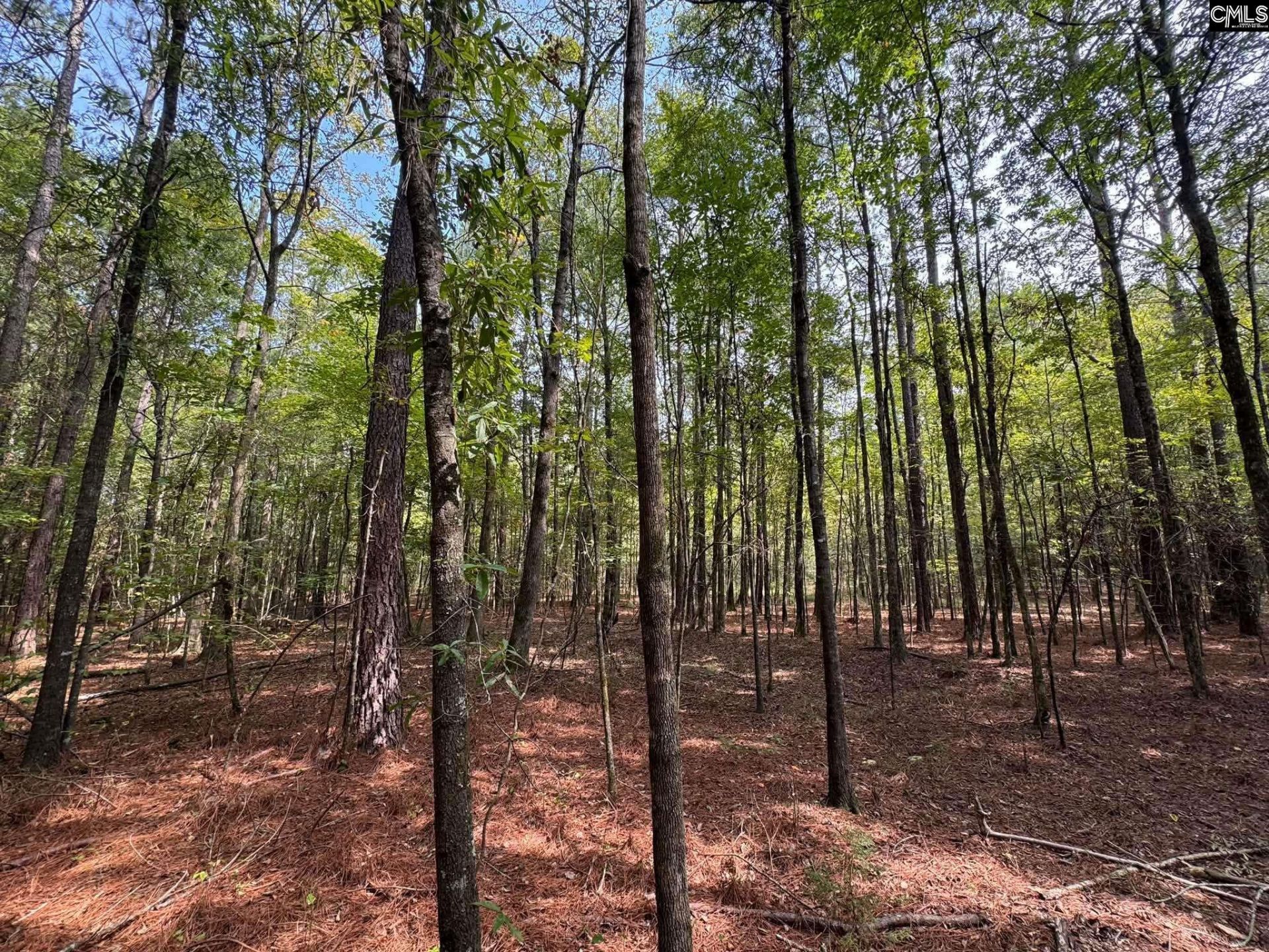 Pencreek Road  Photo 58