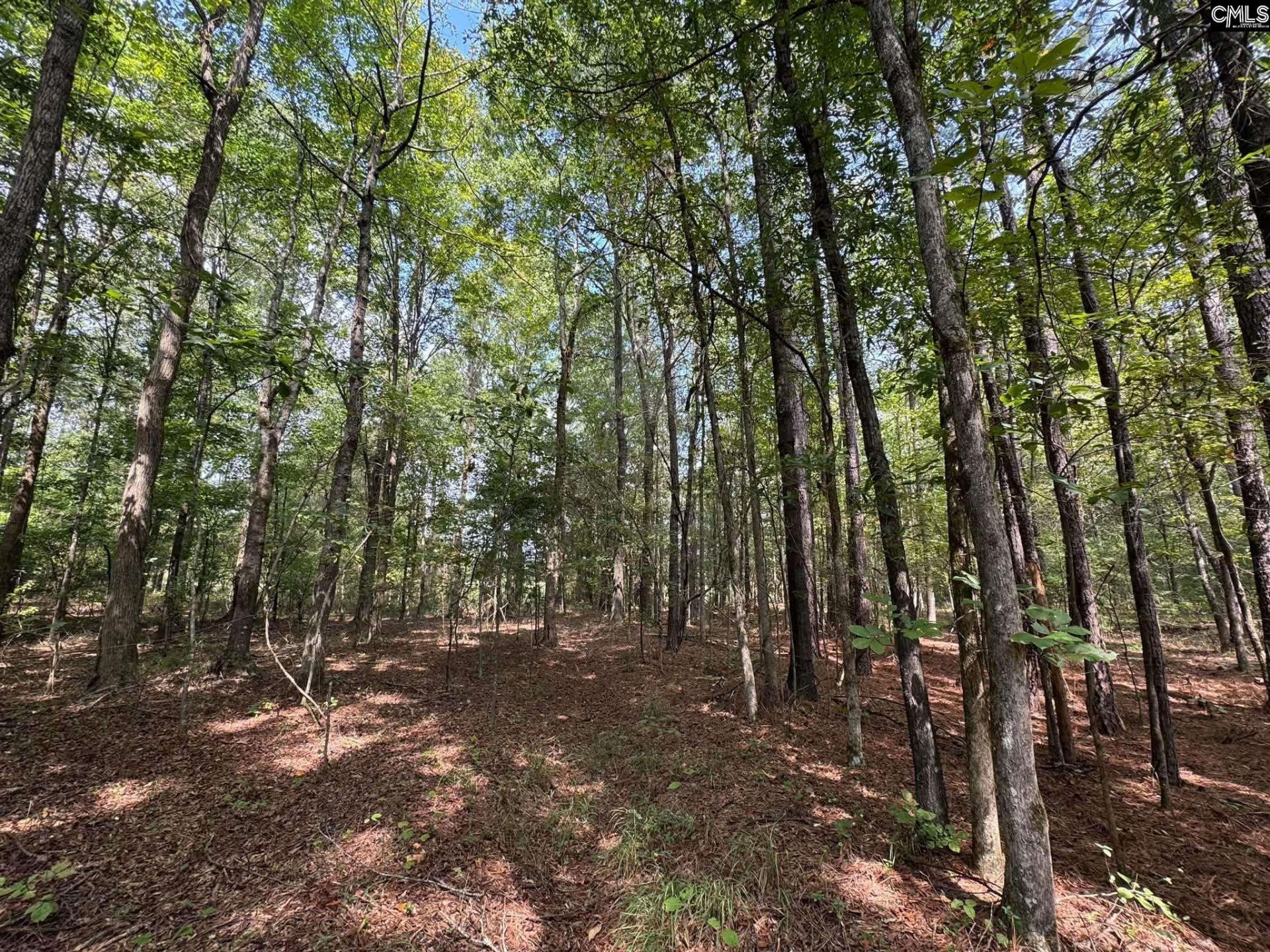 Pencreek Road  Photo 59