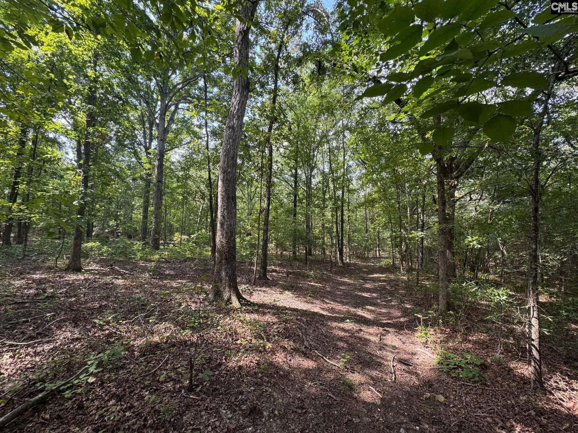 Pencreek Road  Photo 6