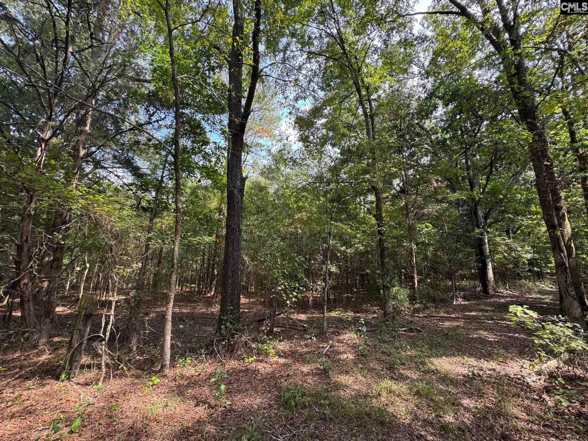 Pencreek Road  Photo 7