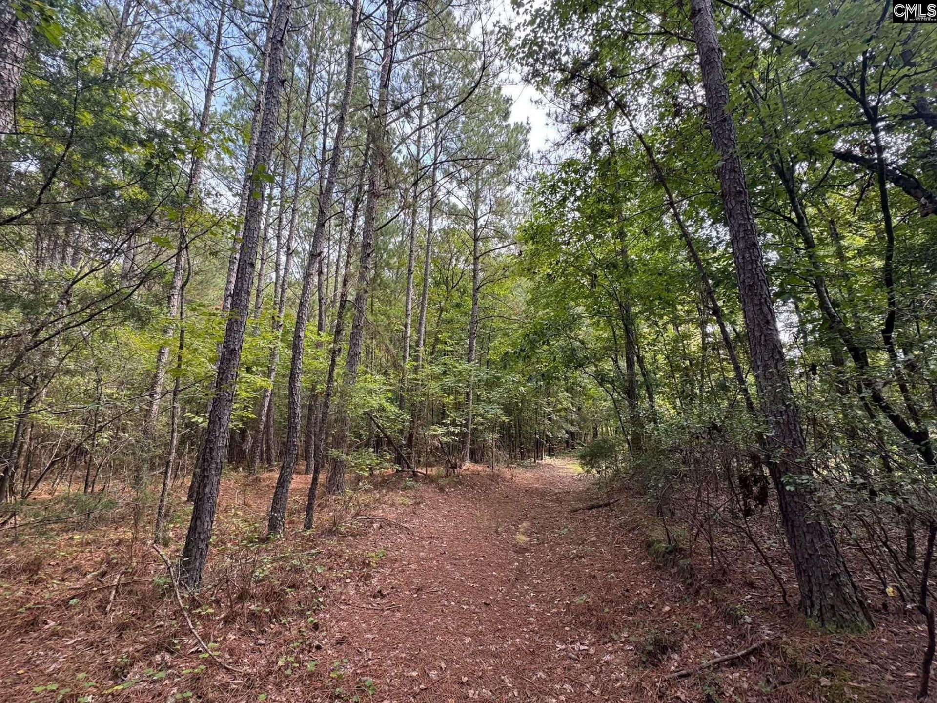 Pencreek Road  Photo 8