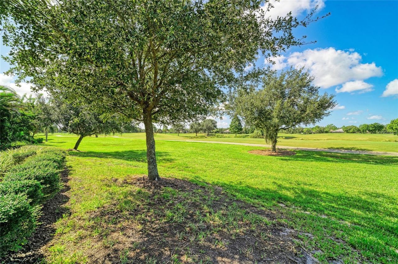 14716 Castle Park Terrace, Lakewood Ranch, FL 34202 Photo