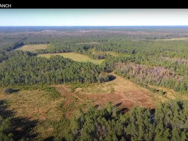 0 Twin Lakes Road , Bunnell, FL 32110